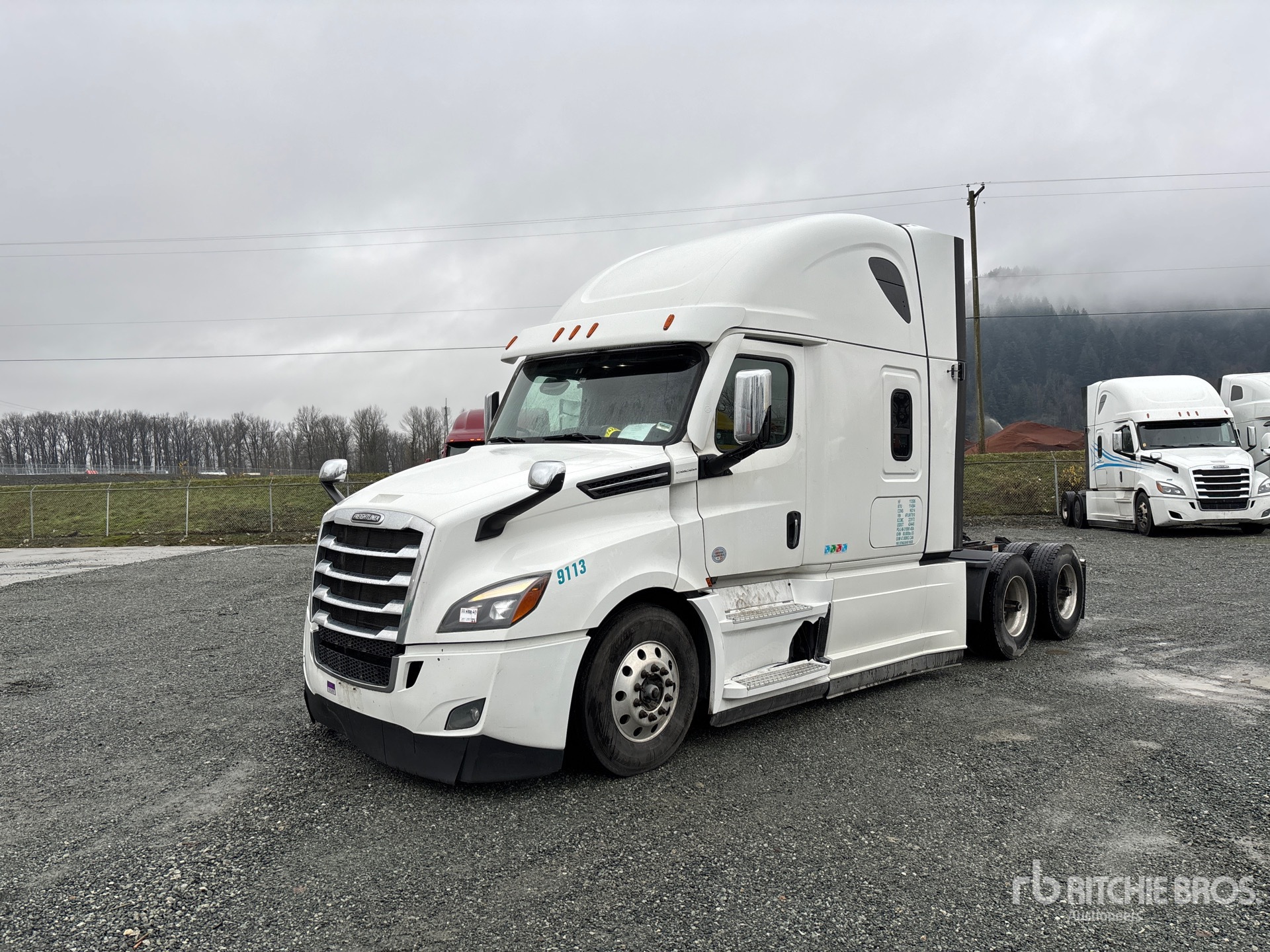 General Appearance with Spin