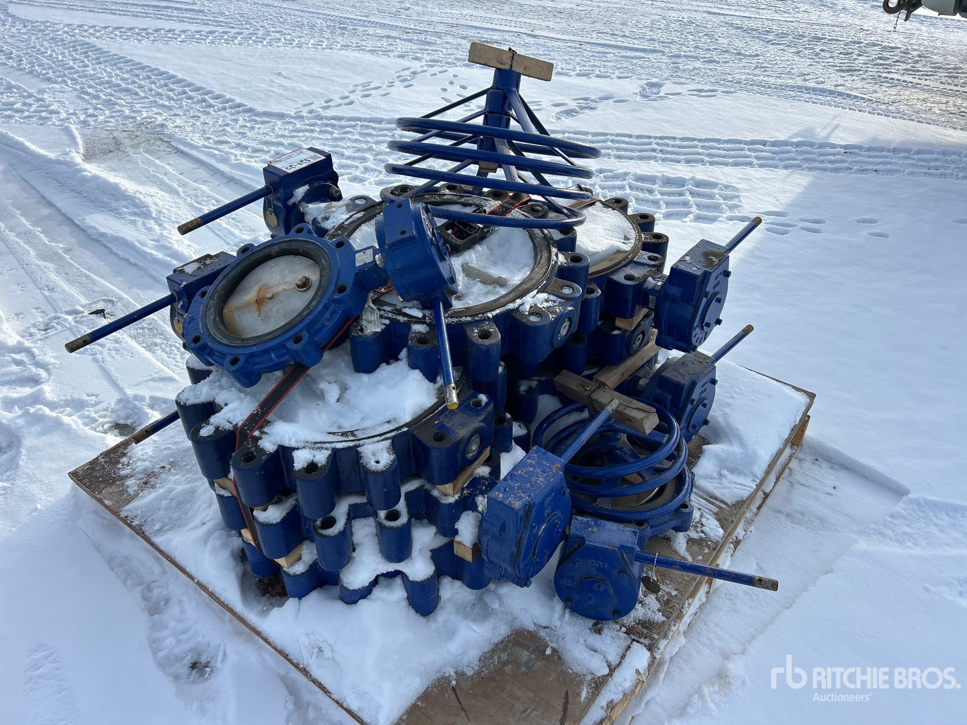 General Appearance with Image, coin arrière gauche