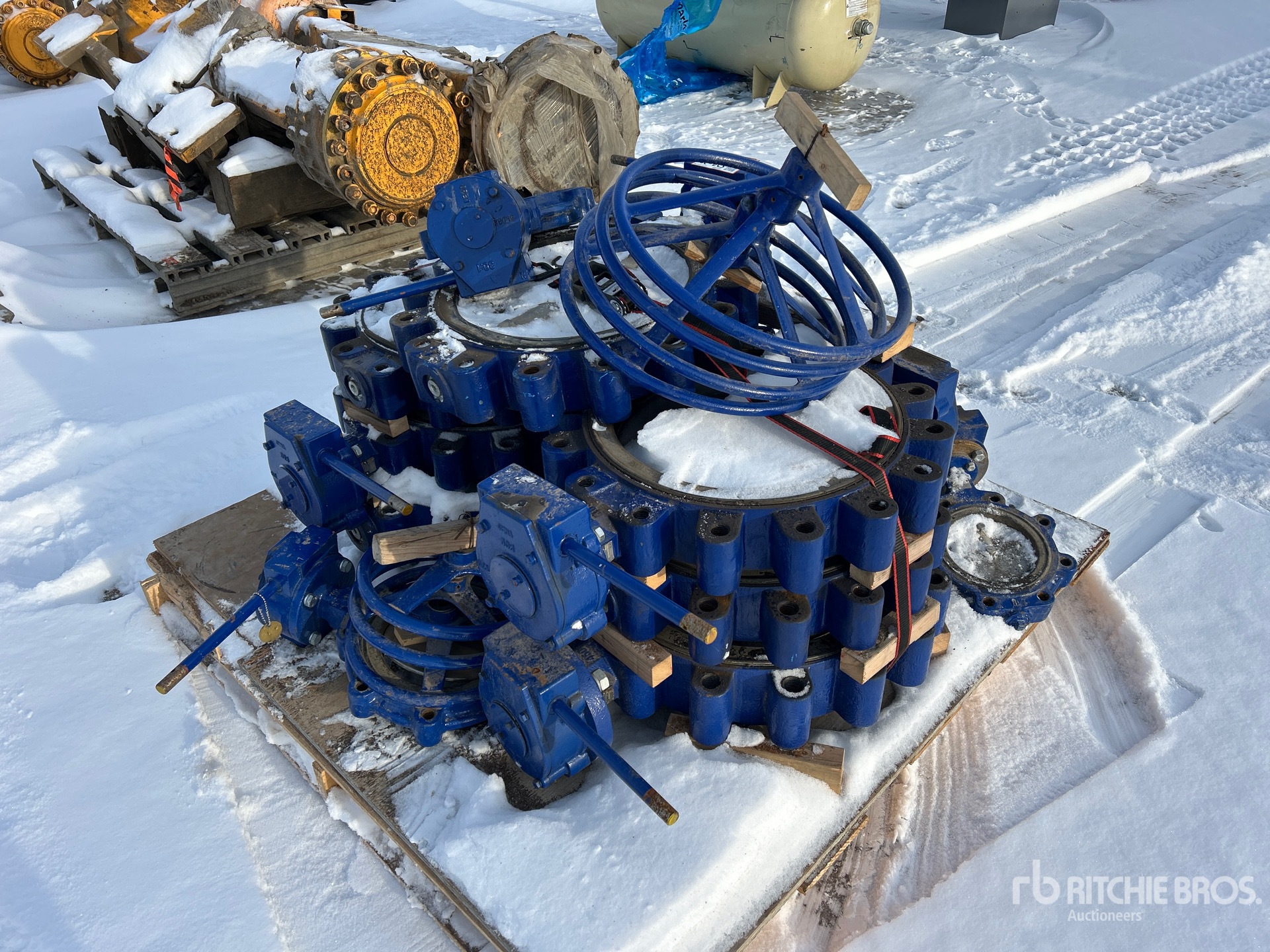 General Appearance with Image, coin arrière droit