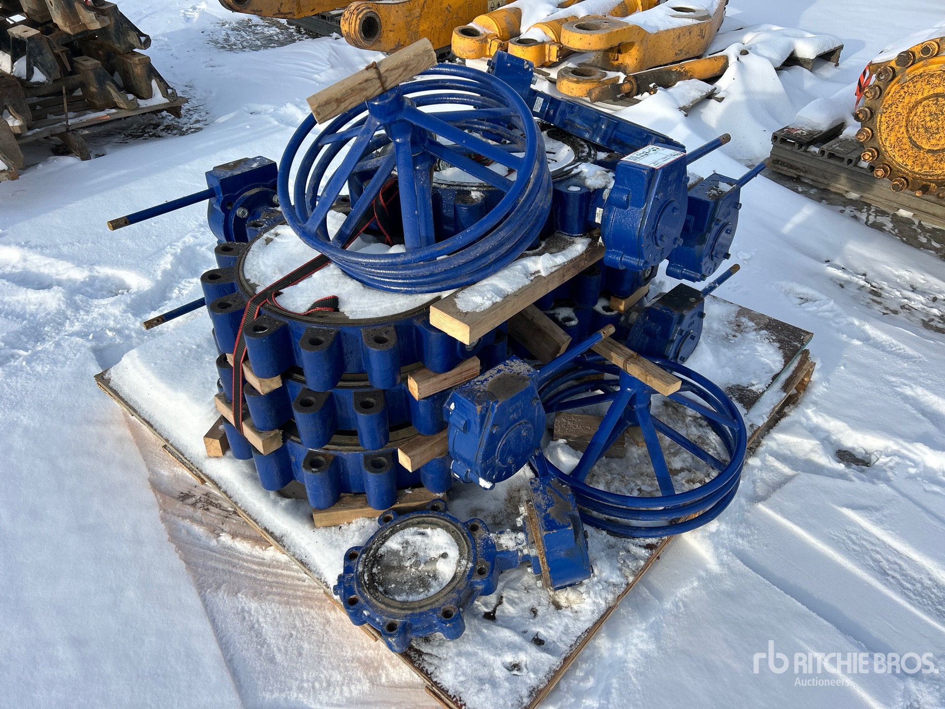 General Appearance with Image, coin avant droit