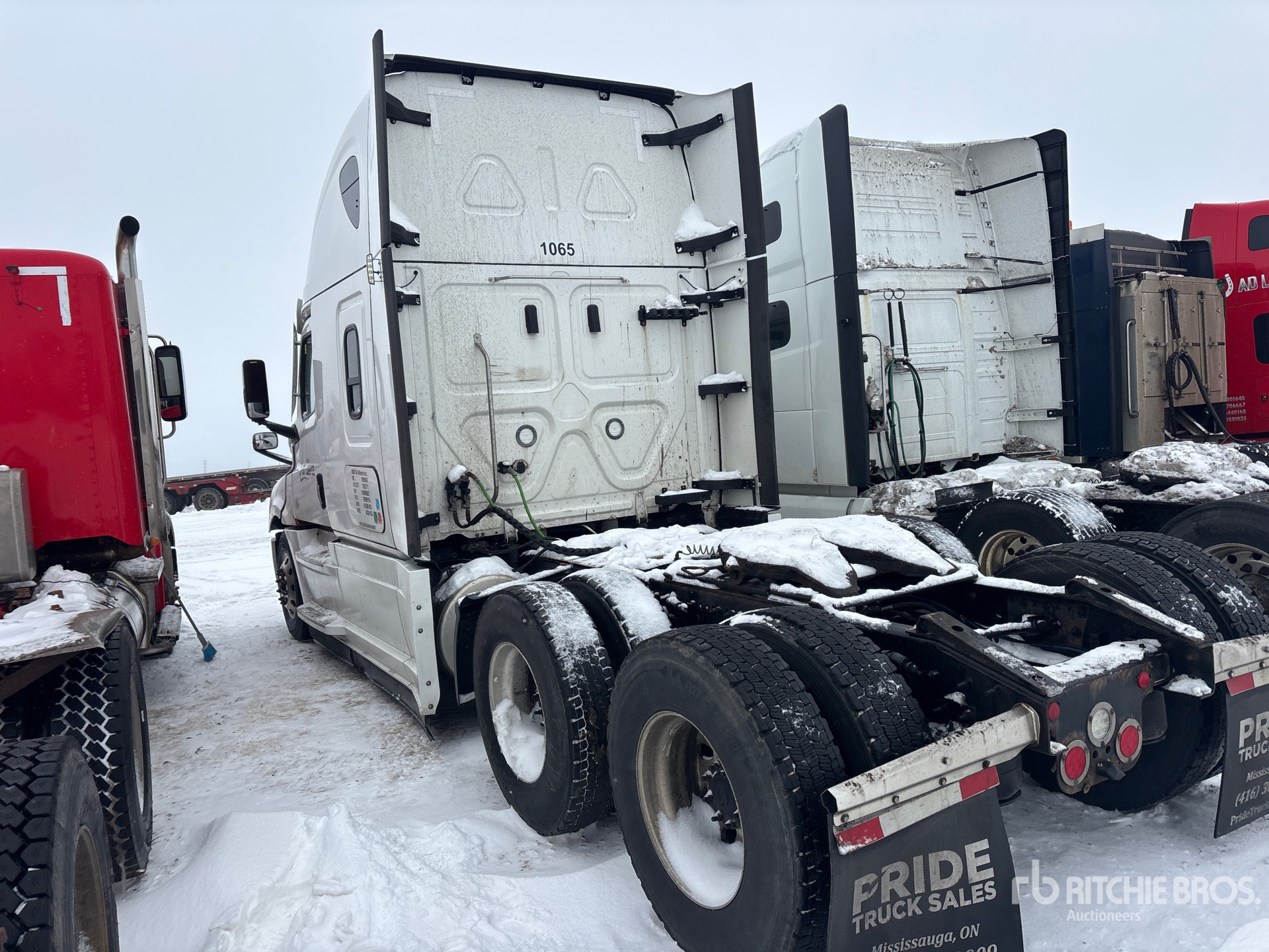 General Appearance with Zdjęcie, lewy dolny róg