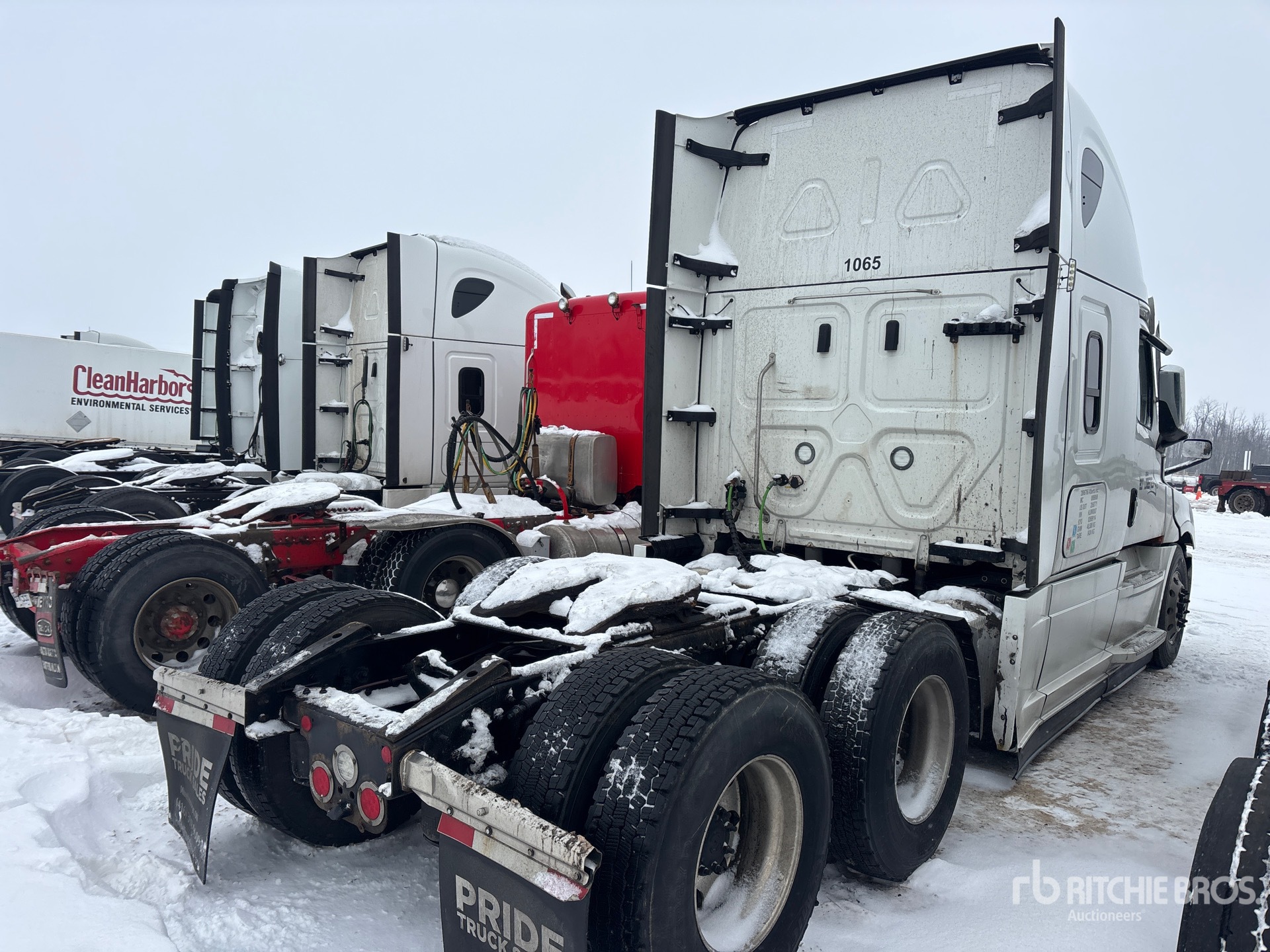 General Appearance with Zdjęcie, prawy dolny róg