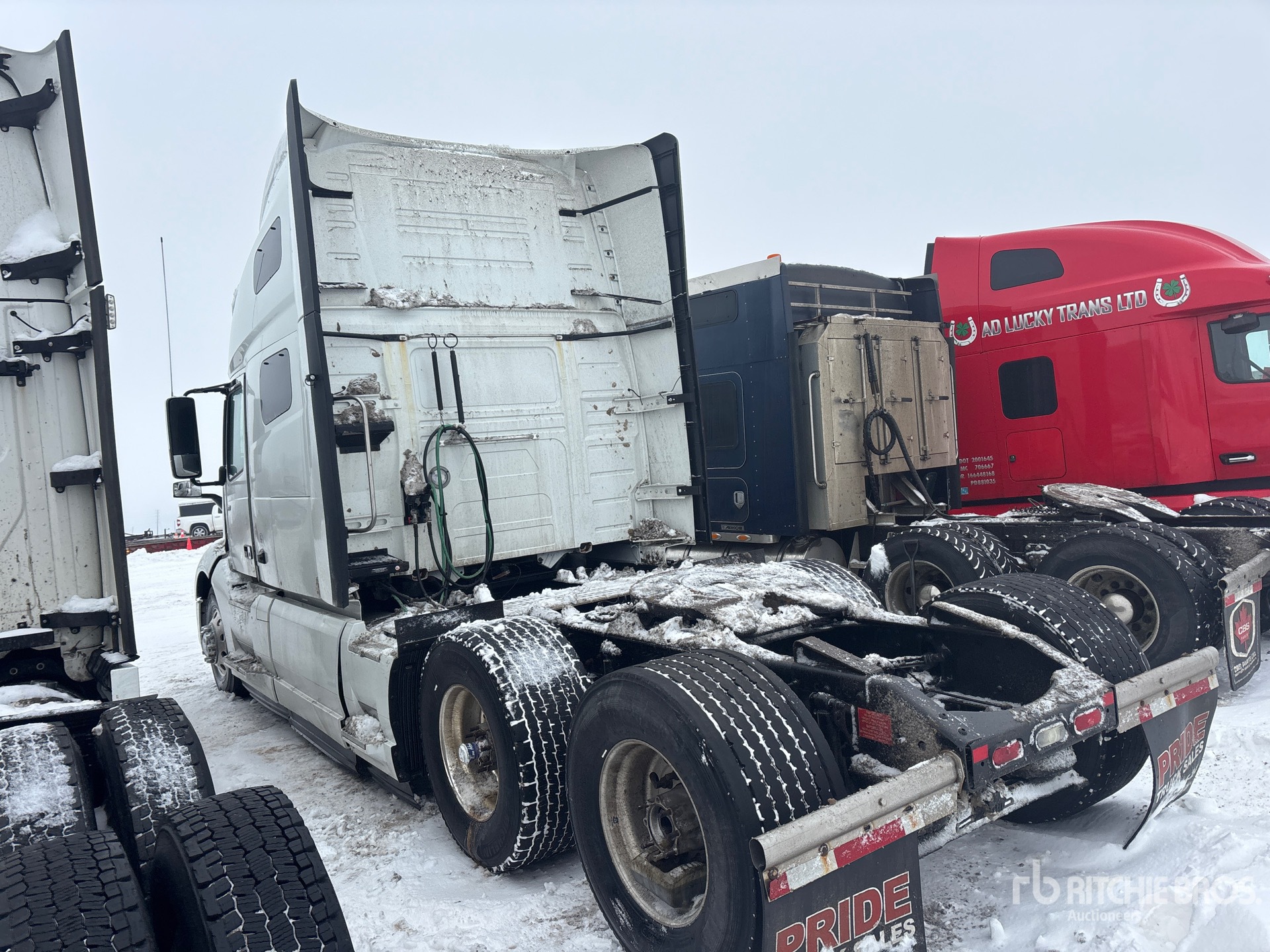 General Appearance with Zdjęcie, lewy dolny róg