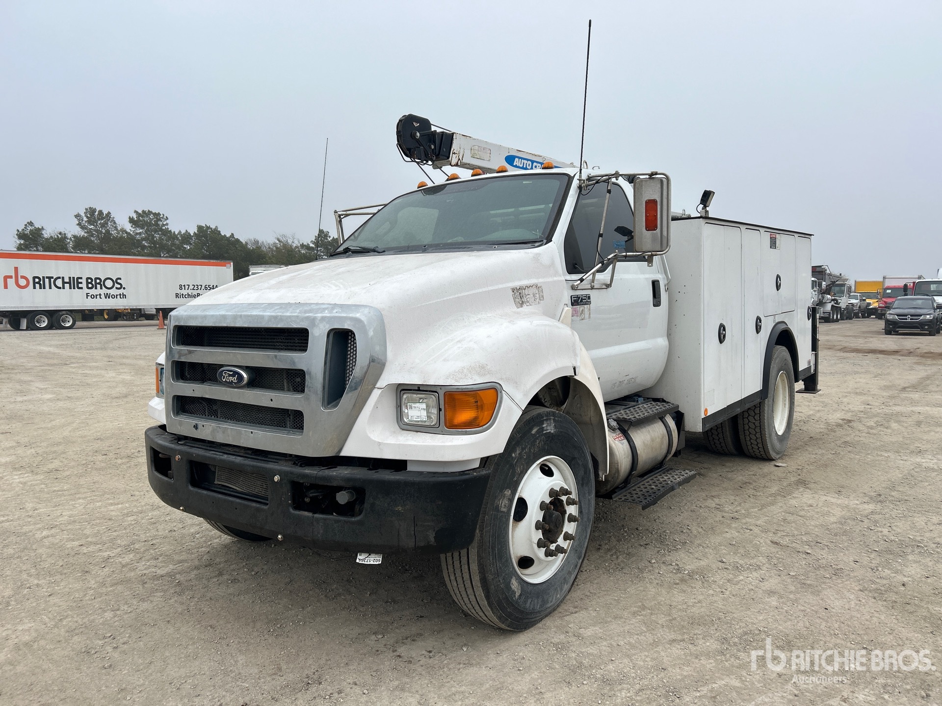 General Appearance with Spin