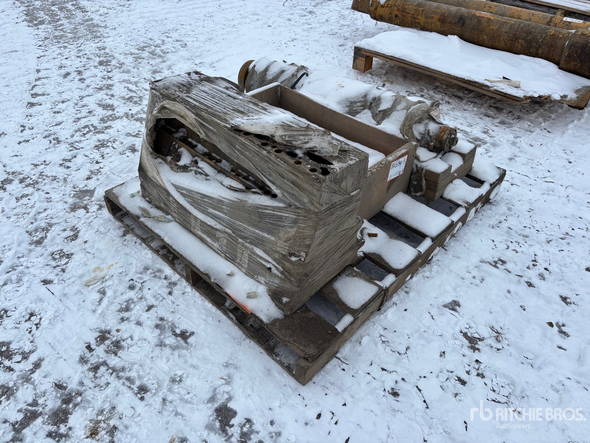 General Appearance with Bild, Ecke vorne links