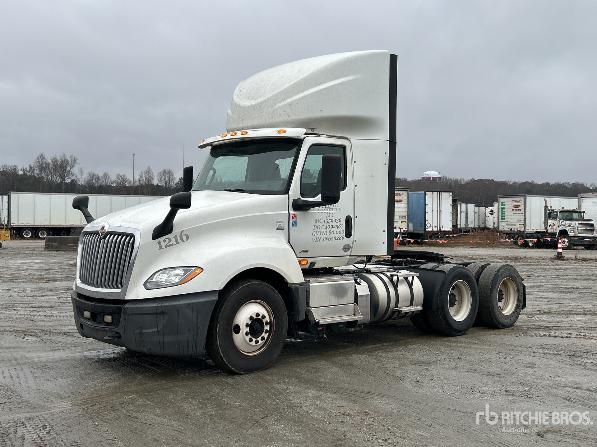 General Appearance with Spin