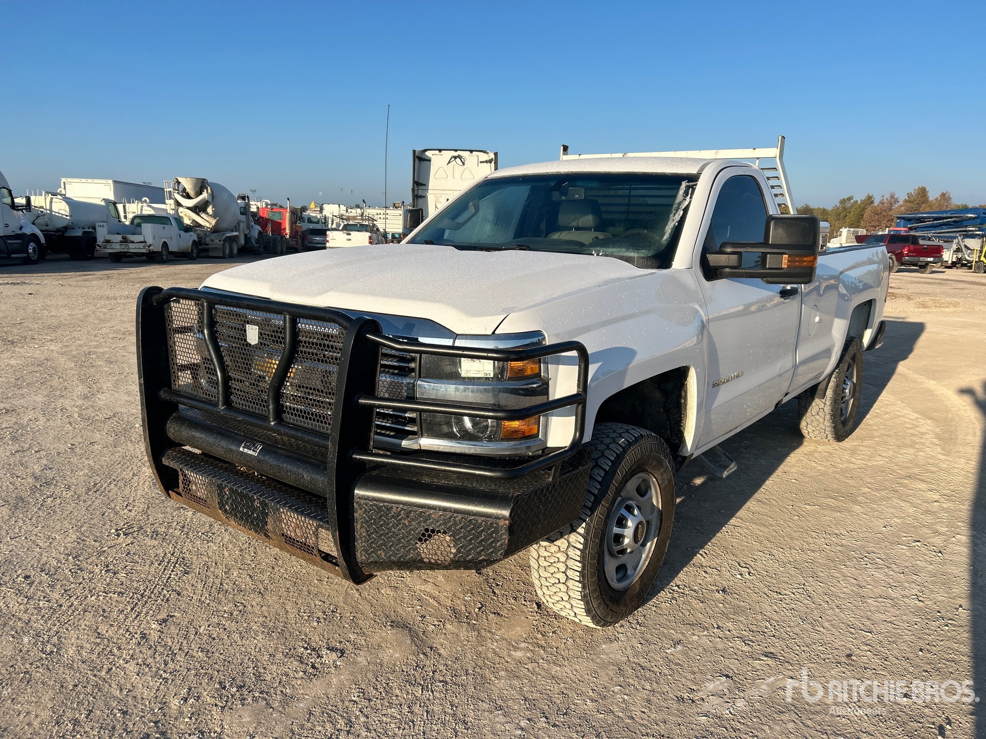 General Appearance with Spin