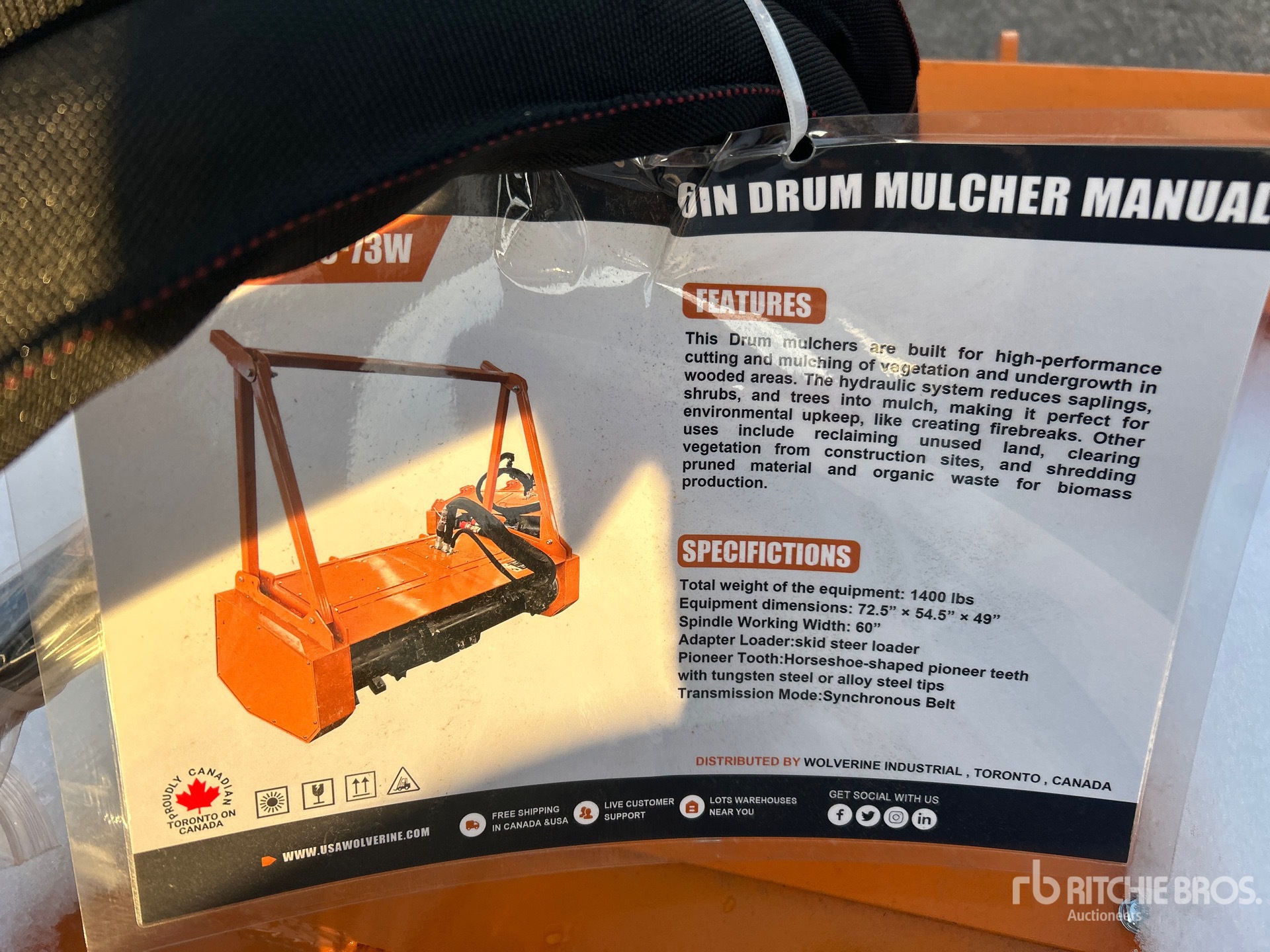 General Appearance with 