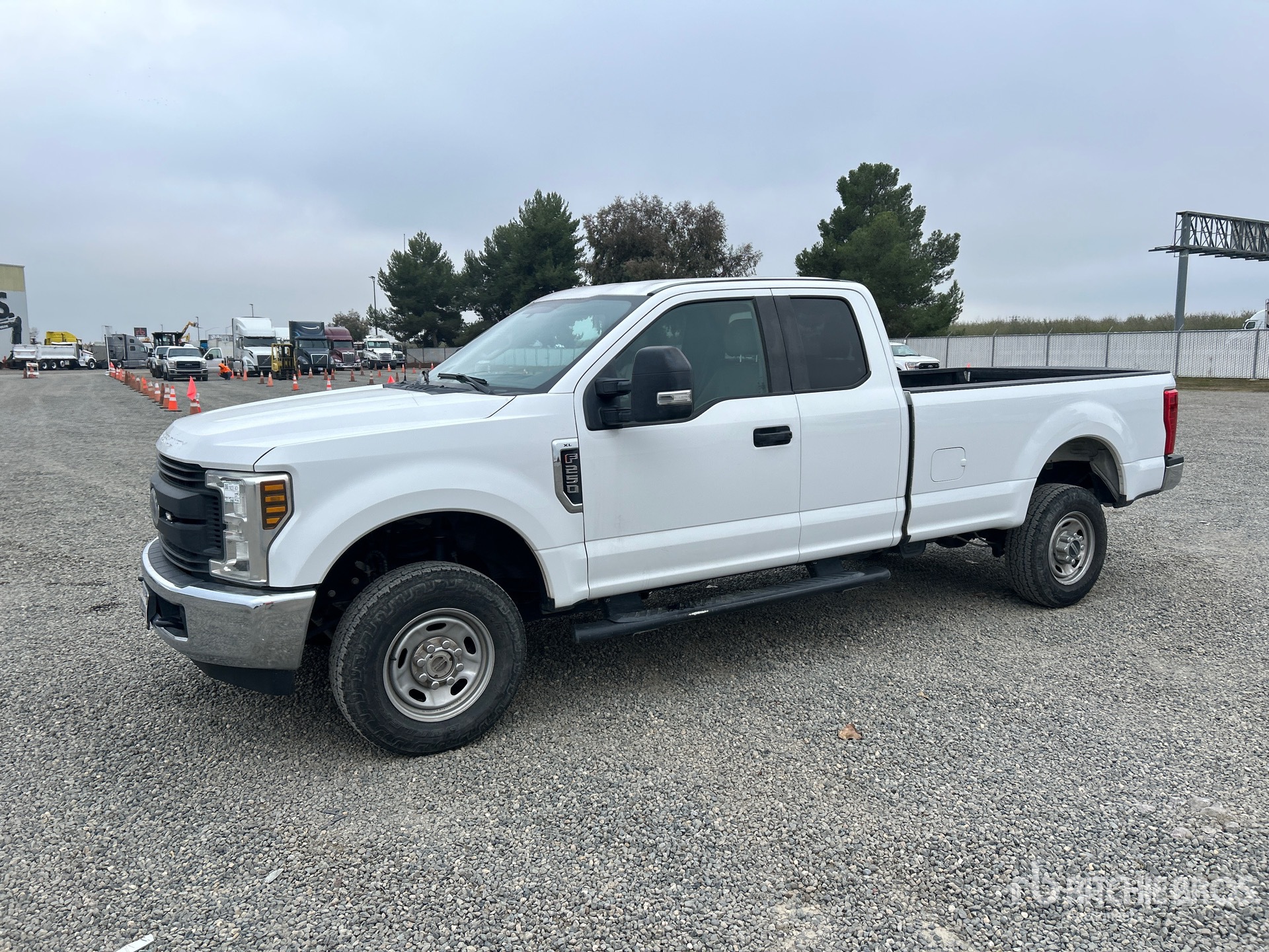 General Appearance with Spin