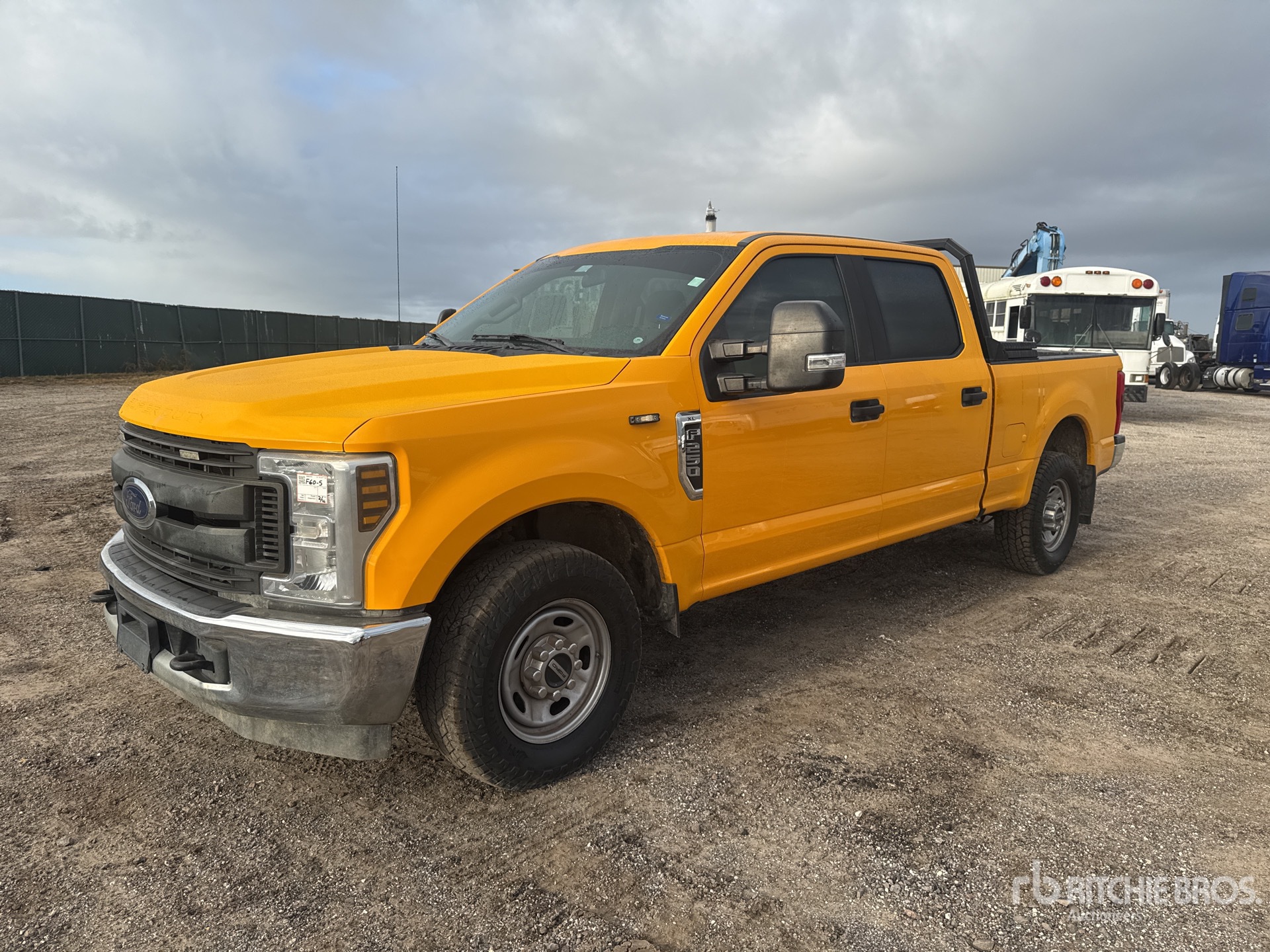 General Appearance with Spin