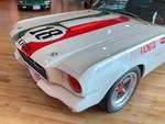 General Appearance with Paint