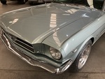General Appearance with Paint