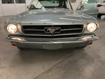 General Appearance with Exterior Lights