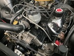 Engine with Oil Leaks