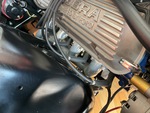 Engine with Exhaust System