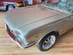 General Appearance with Paint