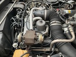 Engine with Oil Leaks