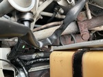 Engine with Exhaust System
