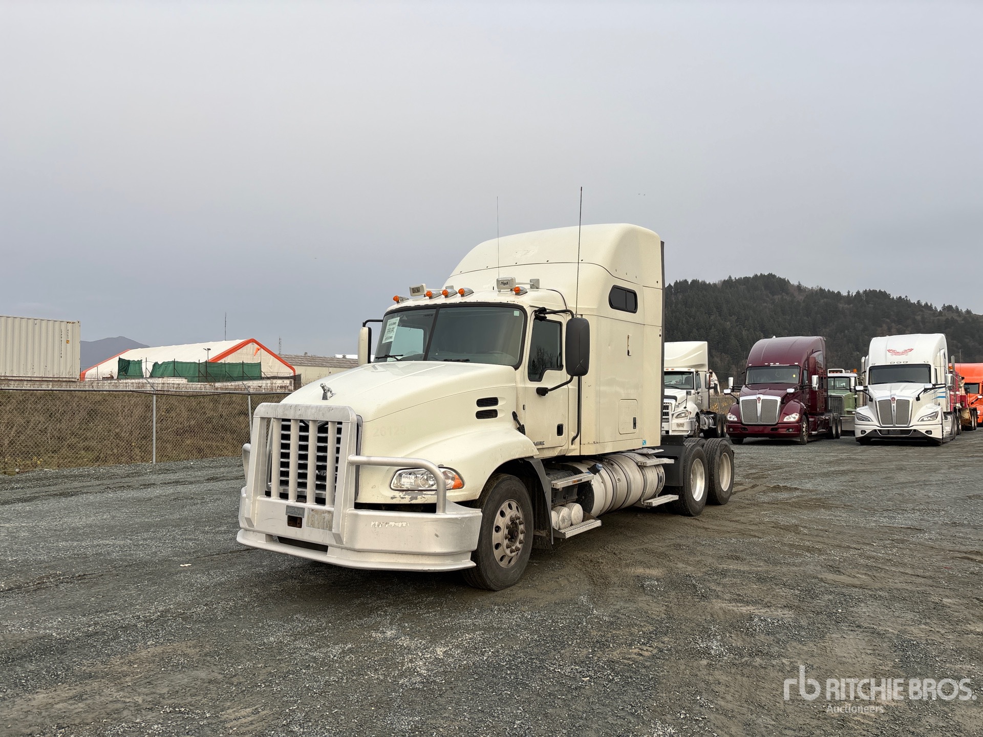 General Appearance with Spin