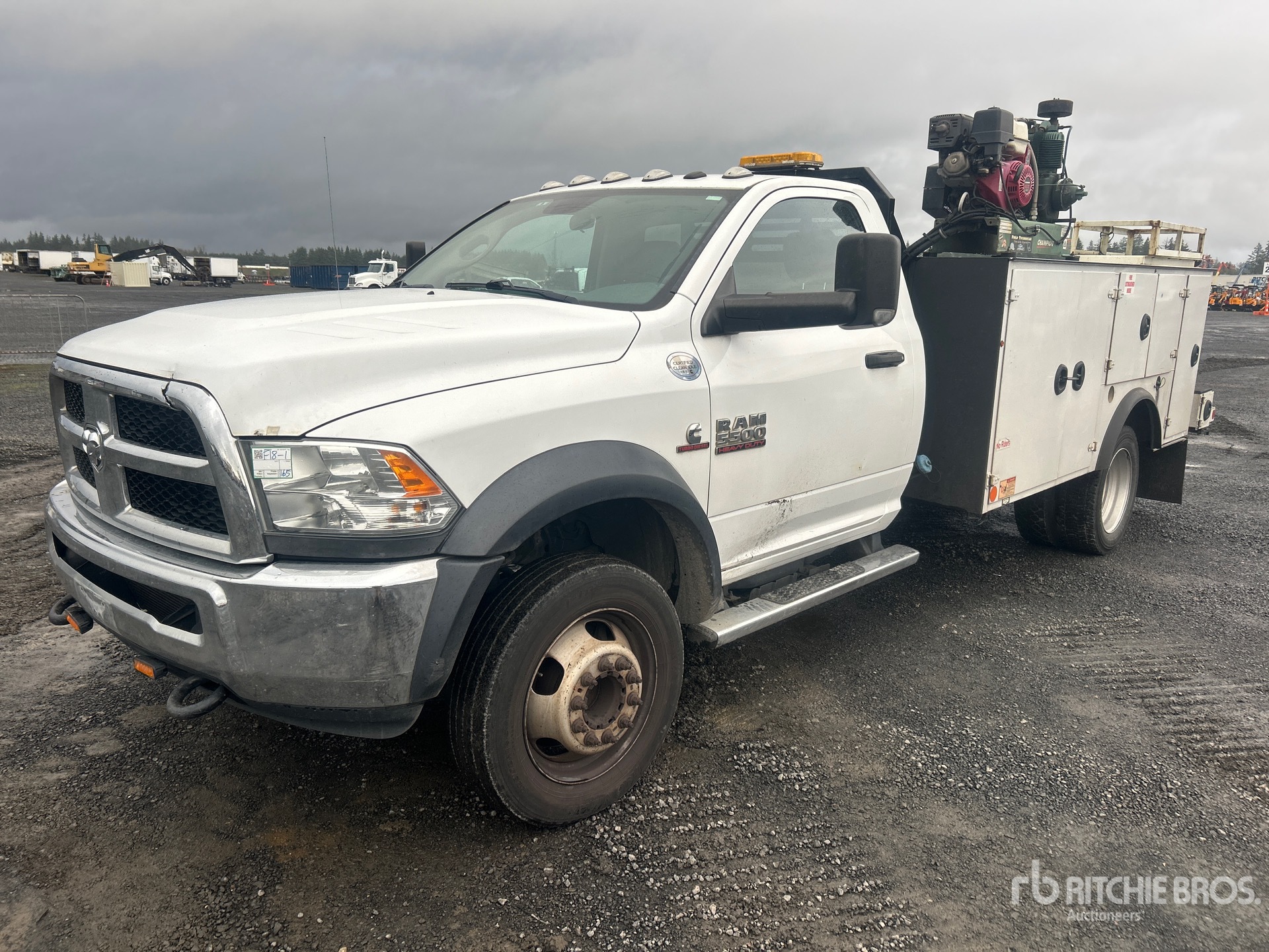 General Appearance with Spin