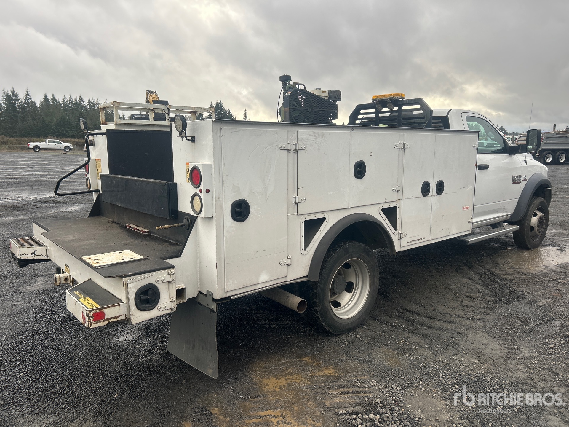 General Appearance with Zdjęcie, prawy dolny róg