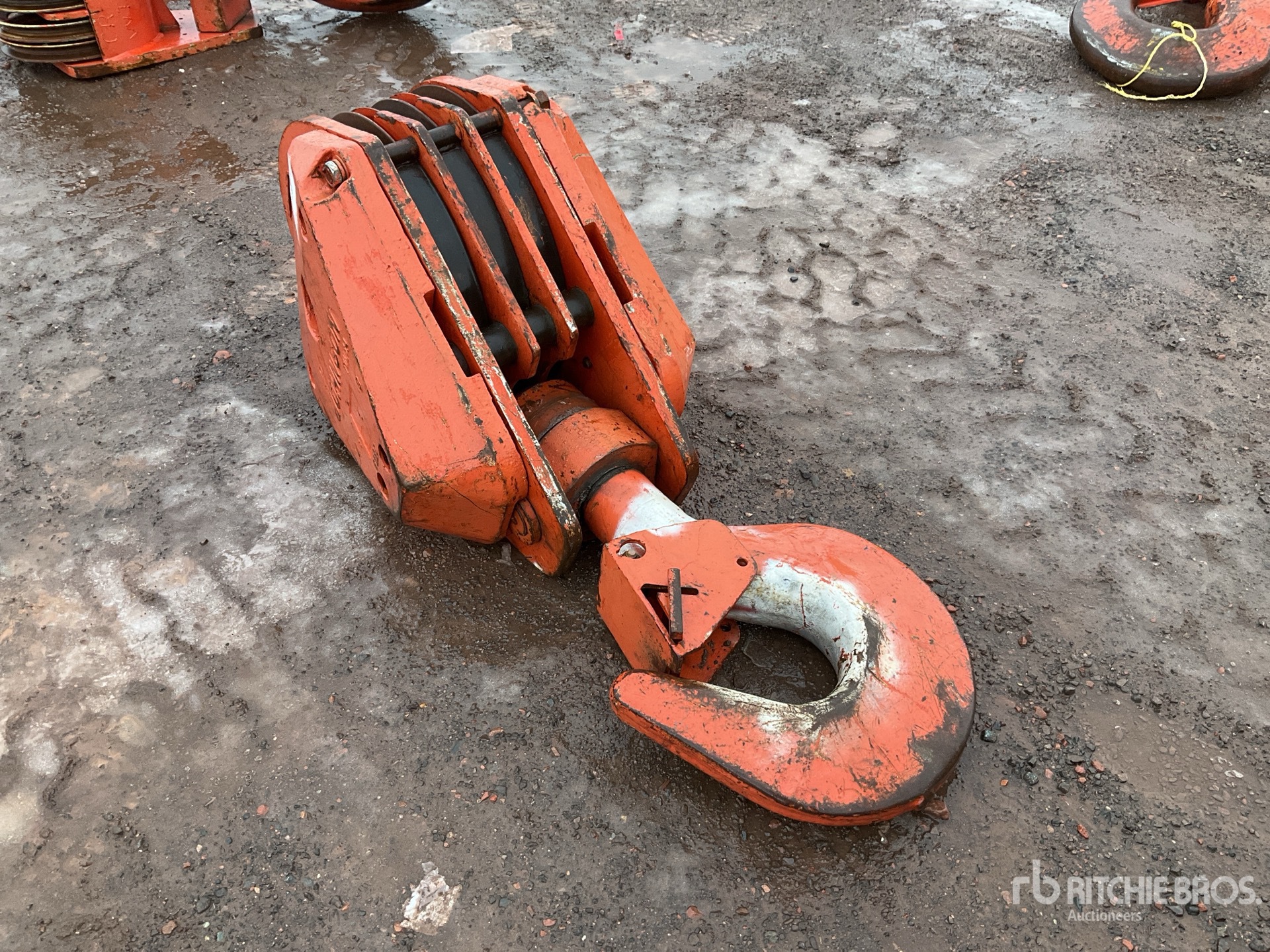 General Appearance with Bild, Ecke hinten links