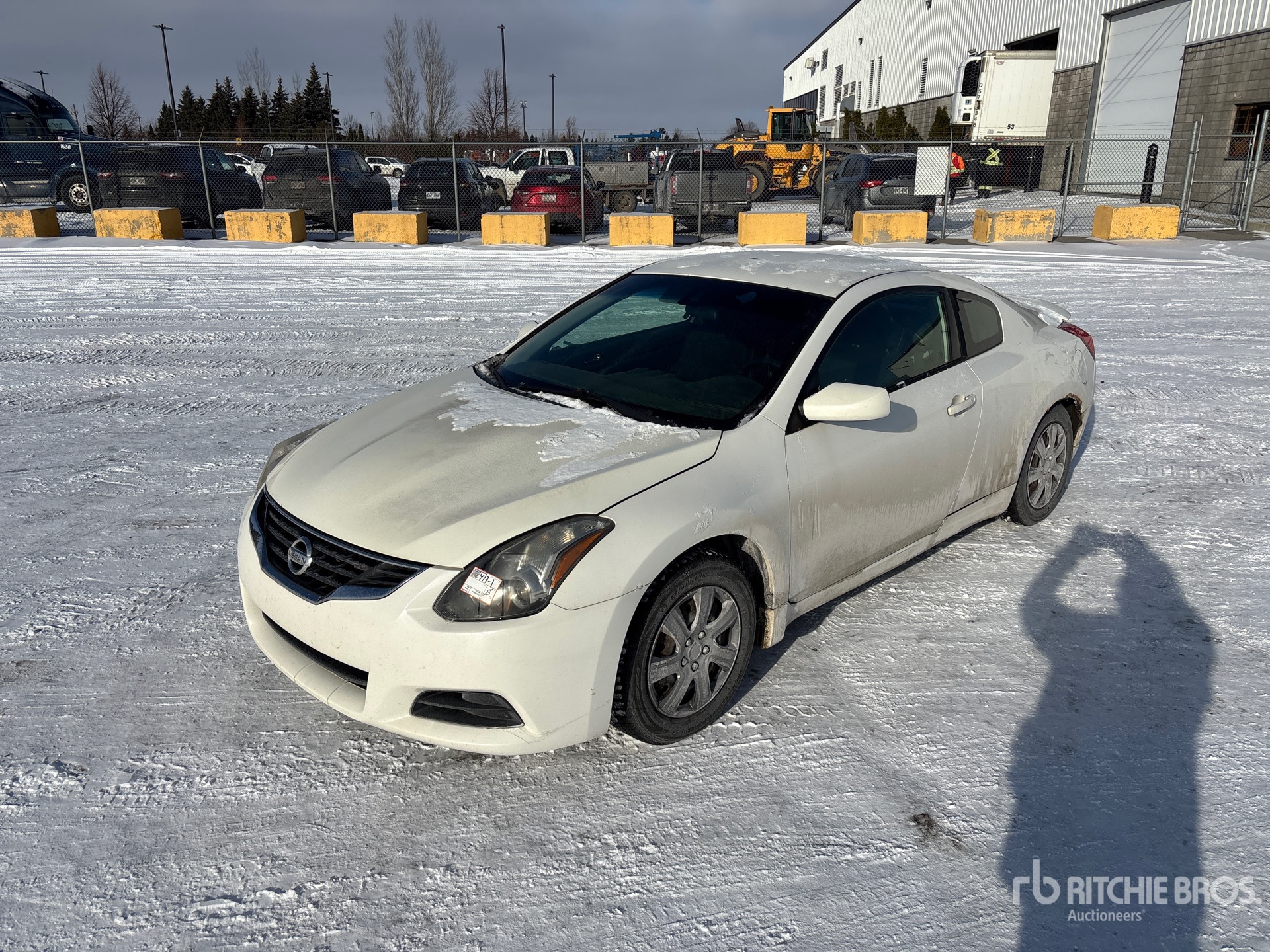 General Appearance with Spin