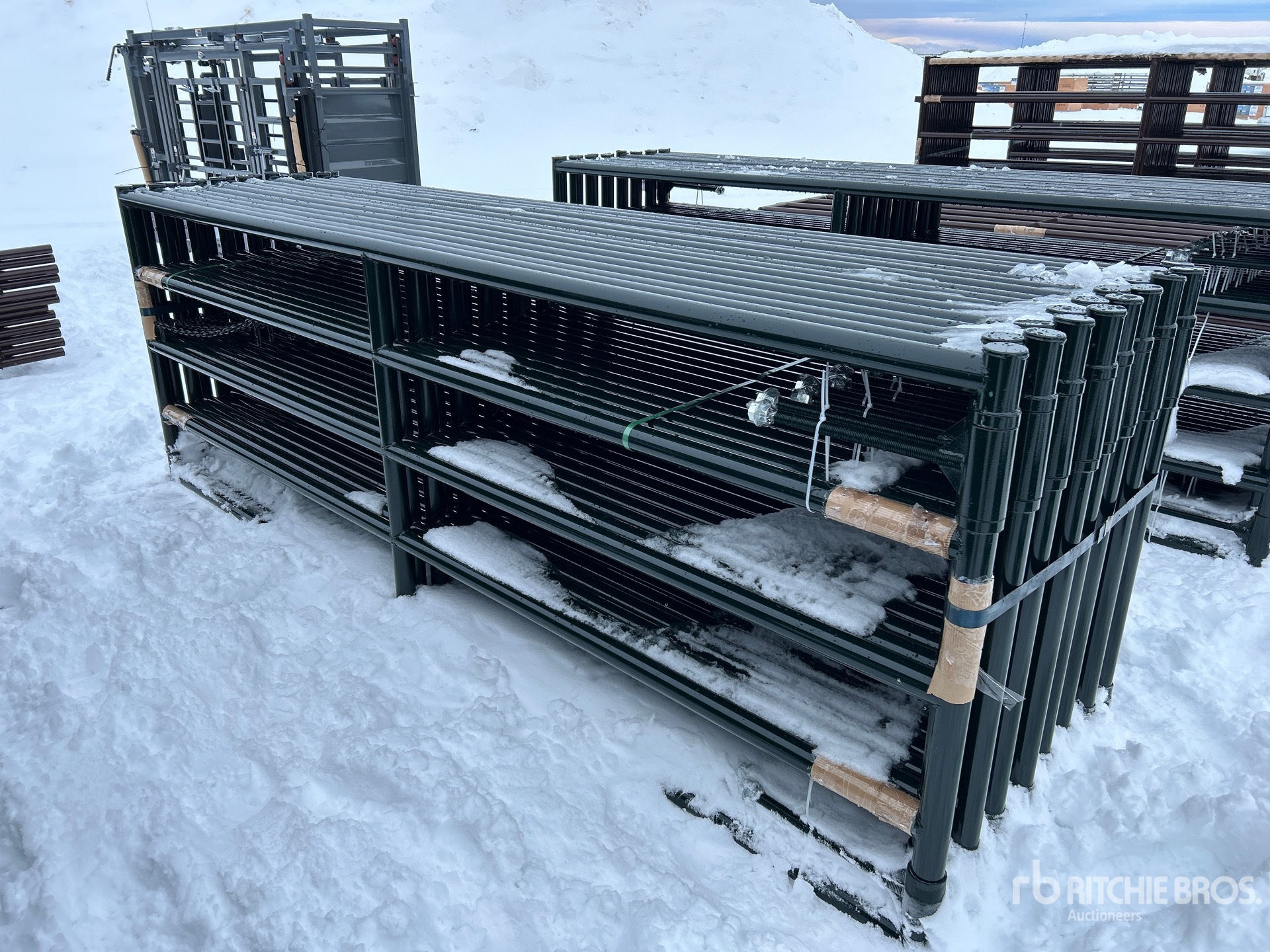 General Appearance with Image, coin arrière droit