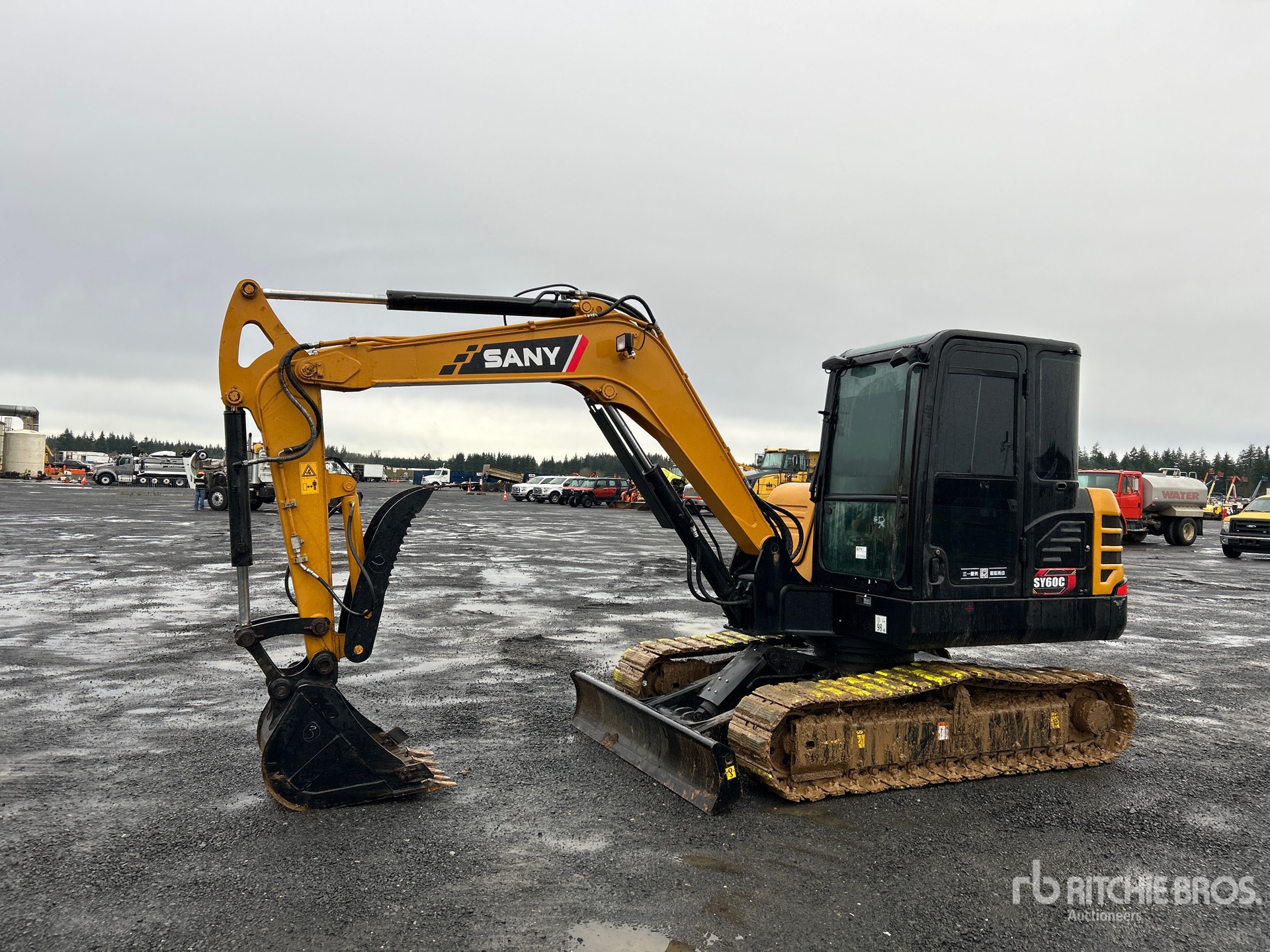 General Appearance with Spin