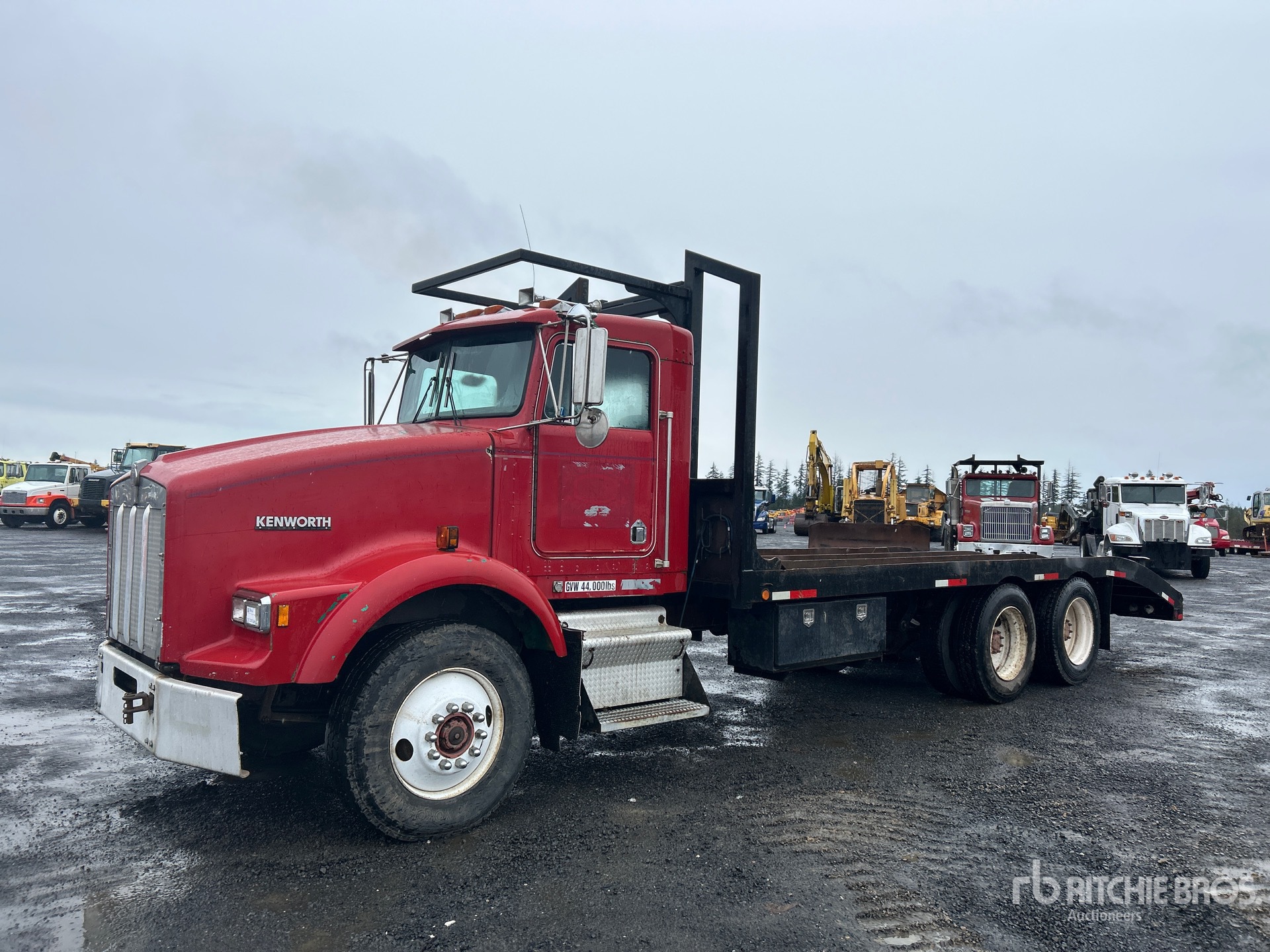 General Appearance with Spin