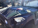 General Appearance with Paint