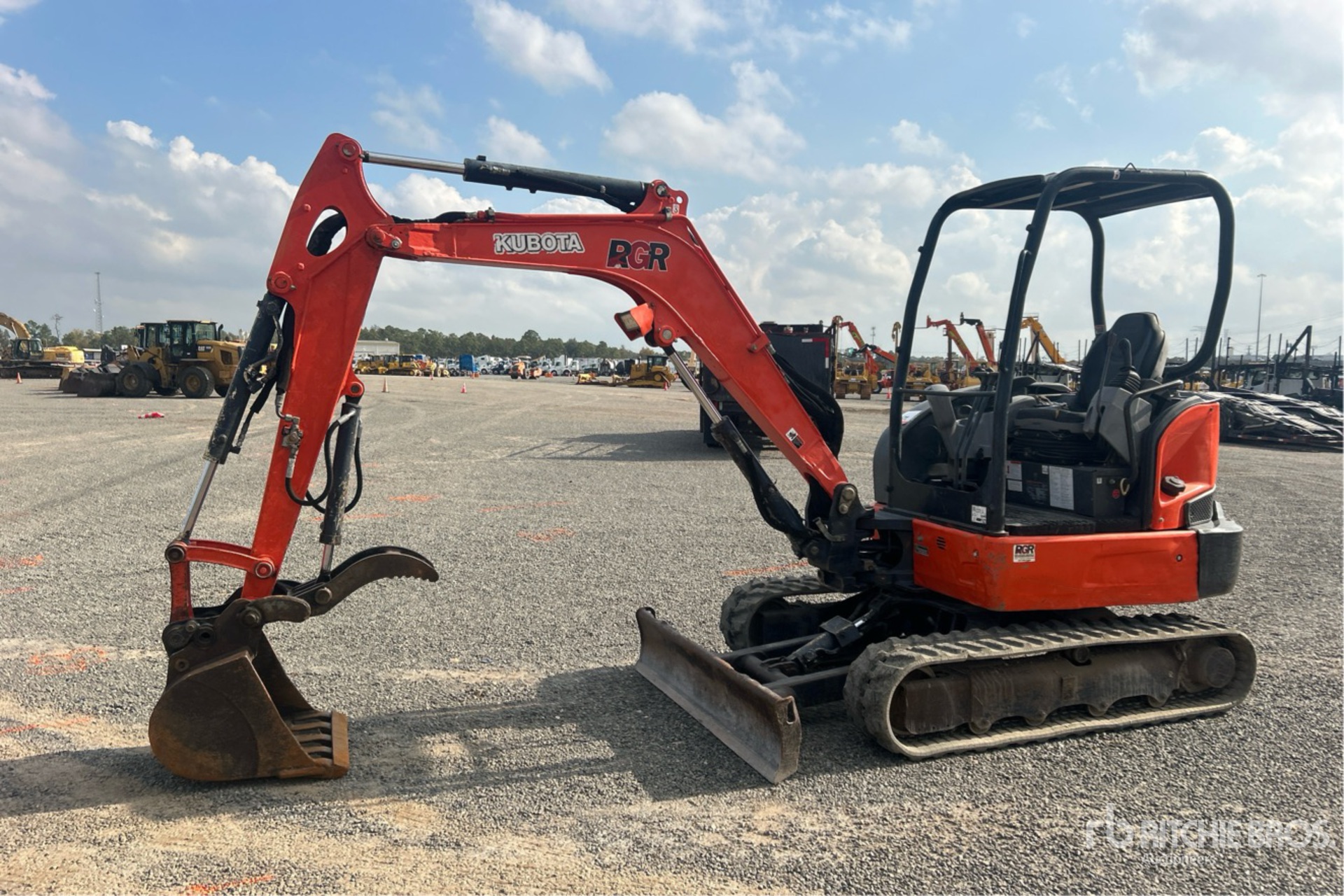 General Appearance with Spin