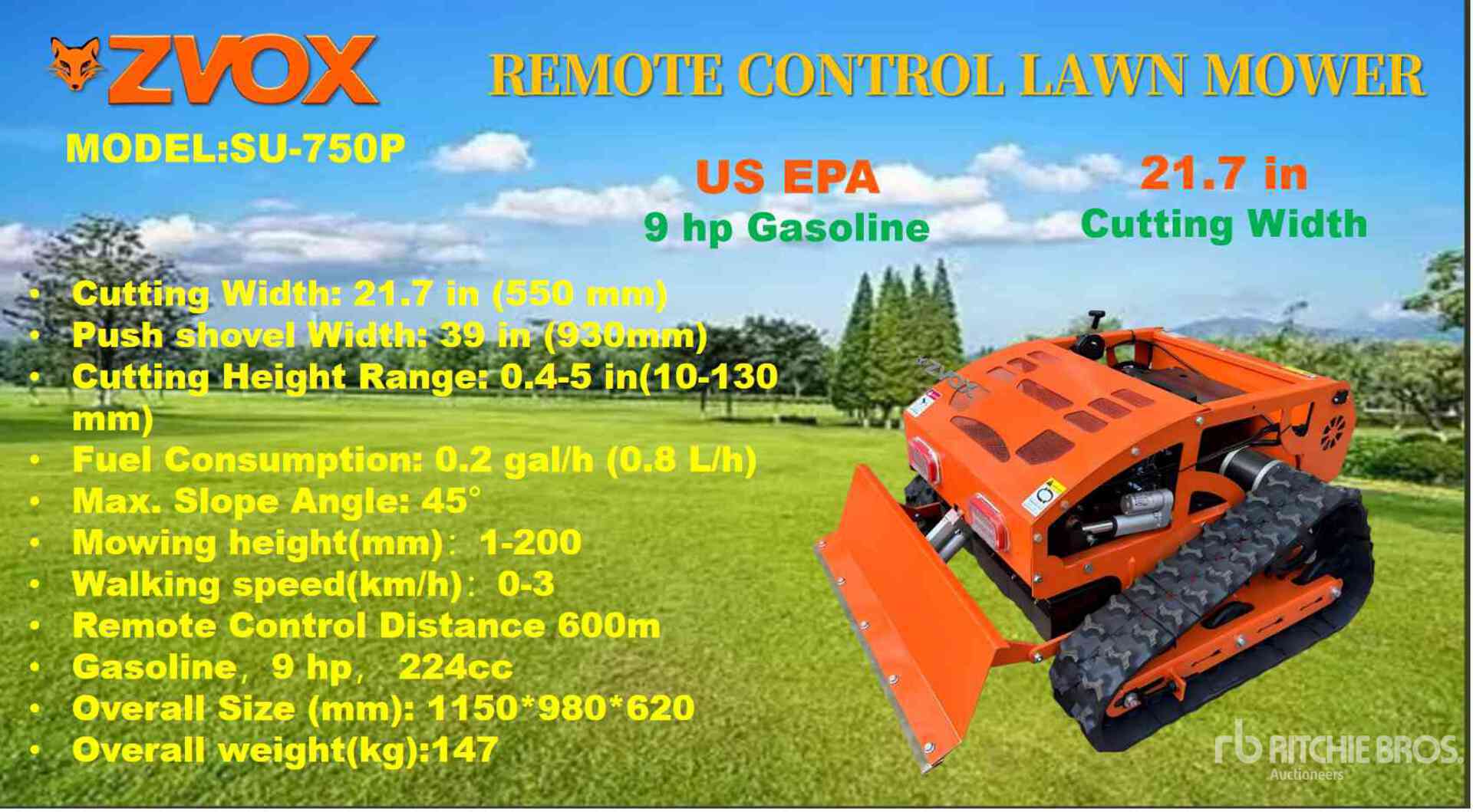 General Appearance with Featured Photo