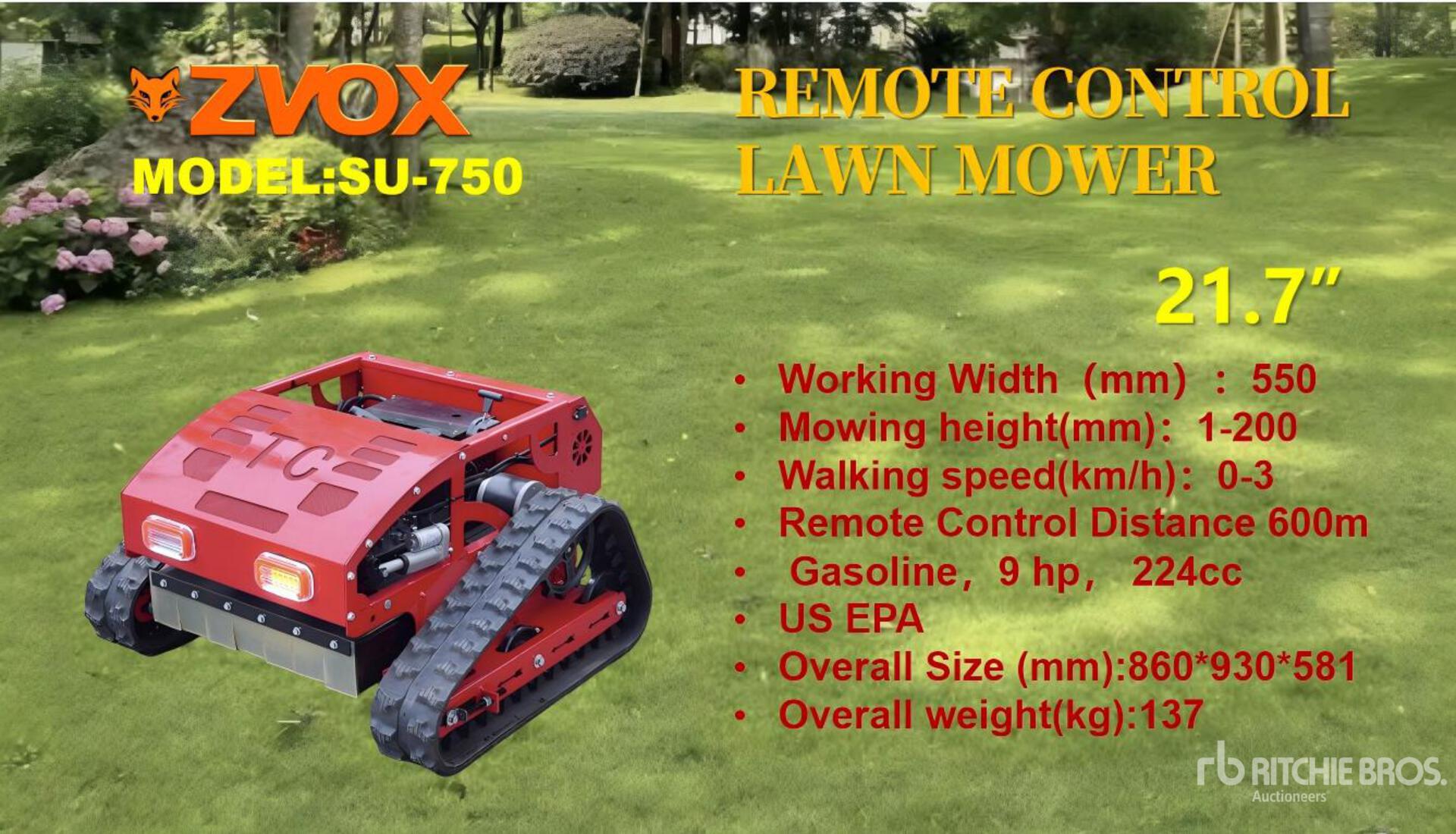 General Appearance with Featured Photo