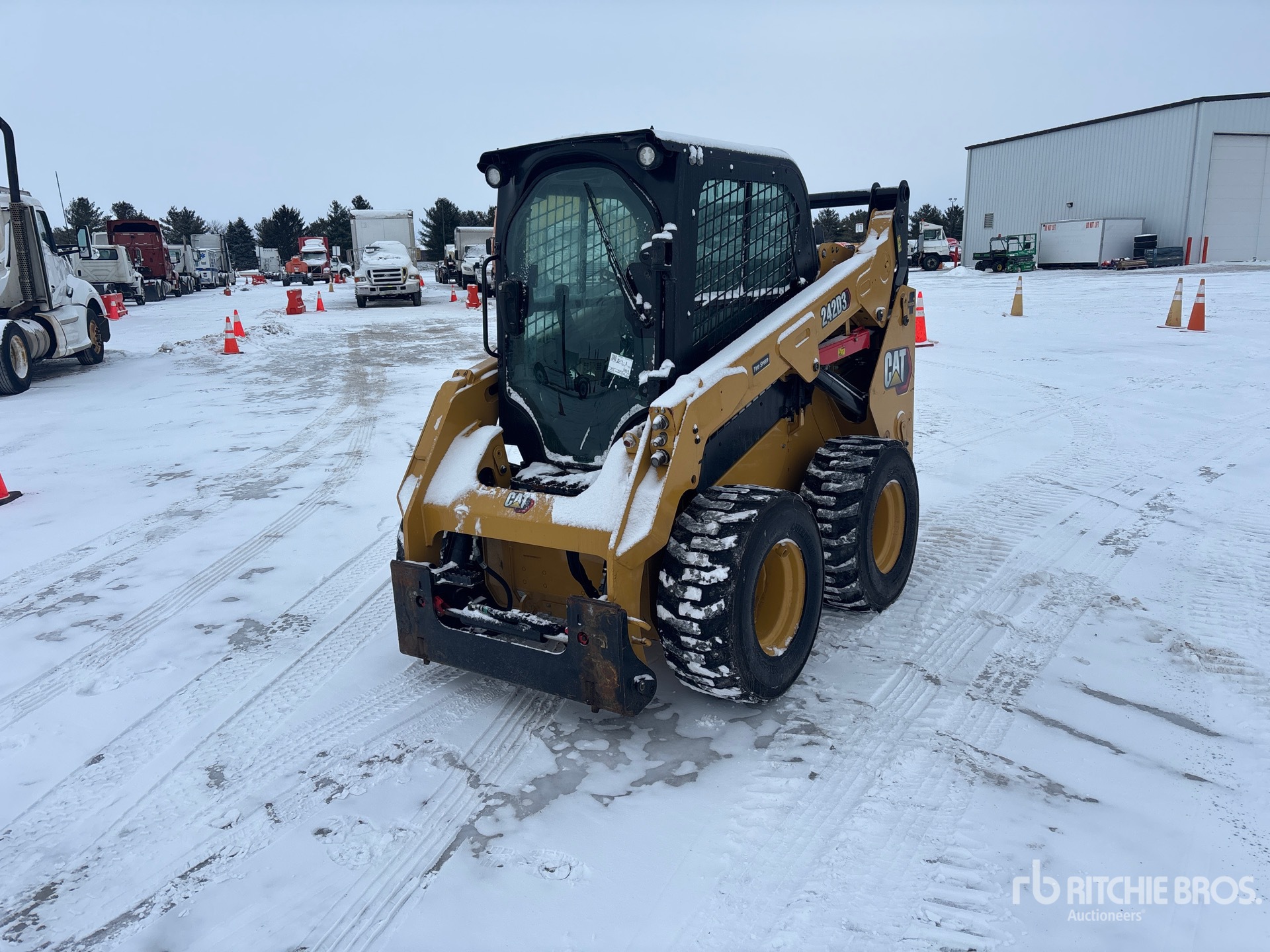 General Appearance with Spin