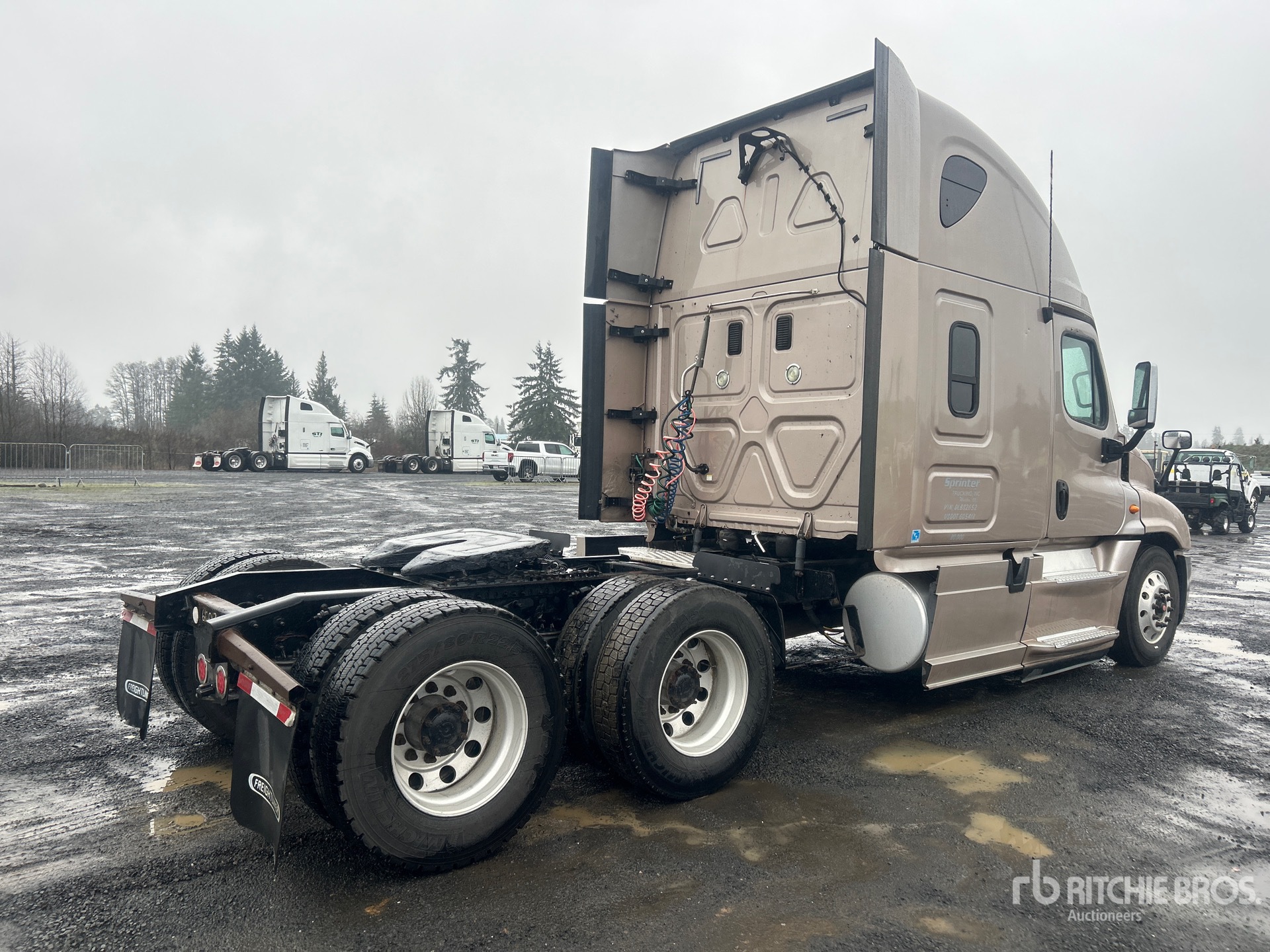 General Appearance with Image, coin arrière droit