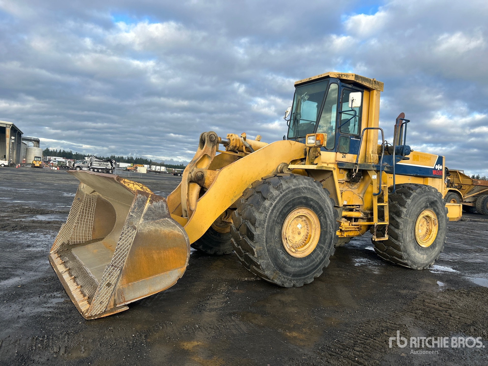 General Appearance with Spin