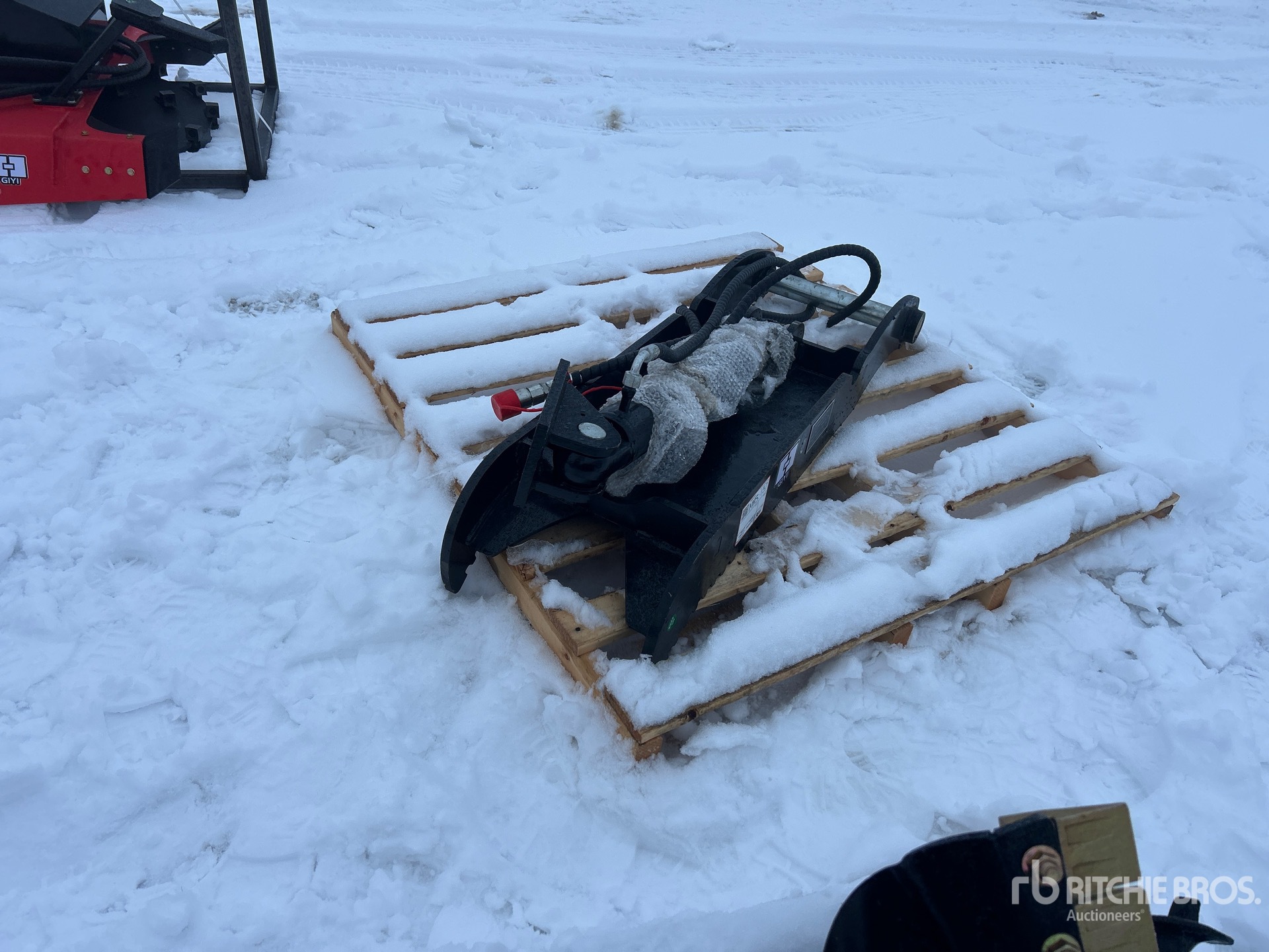 General Appearance with Bild, Ecke vorne links