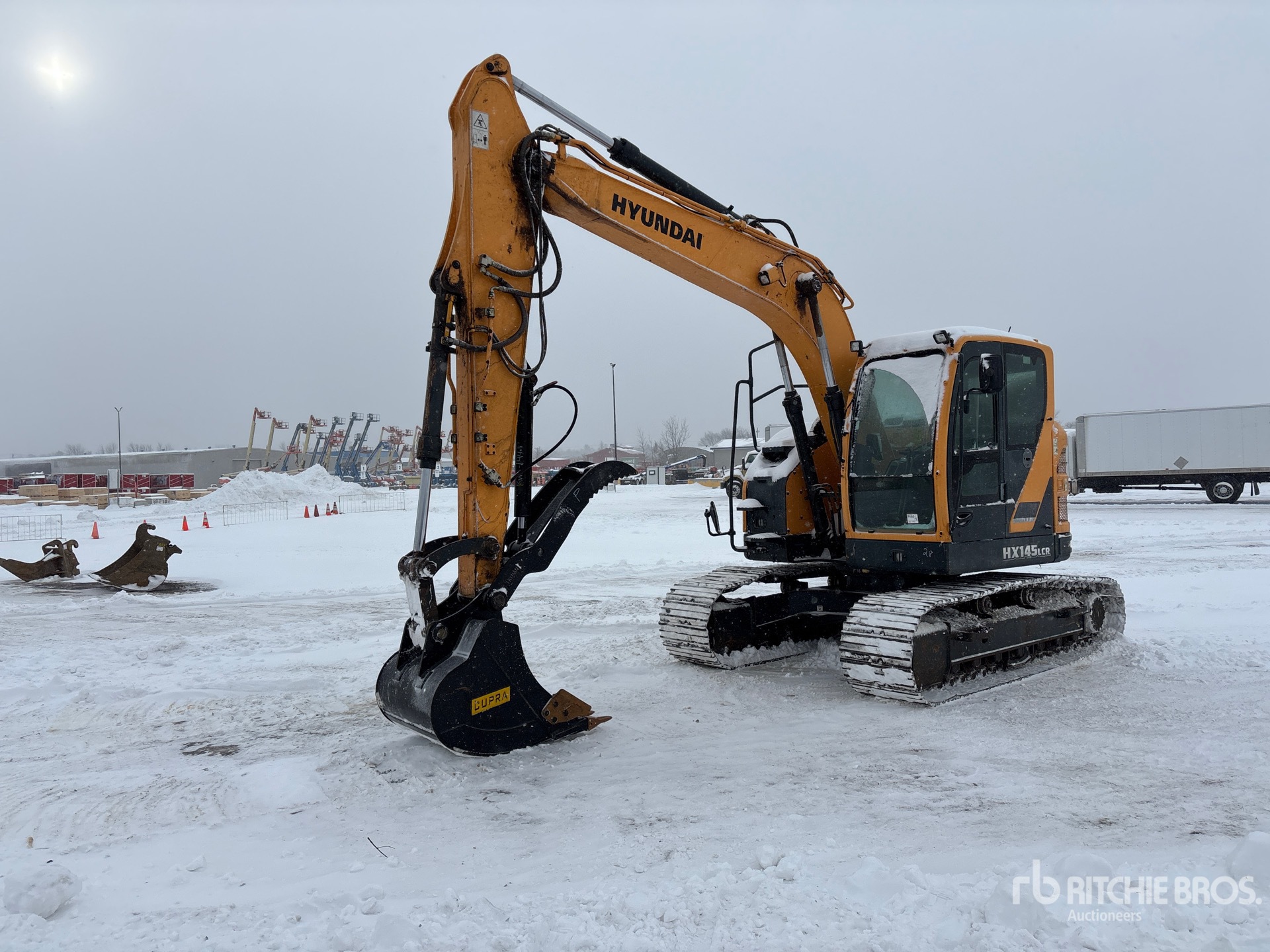 General Appearance with Spin