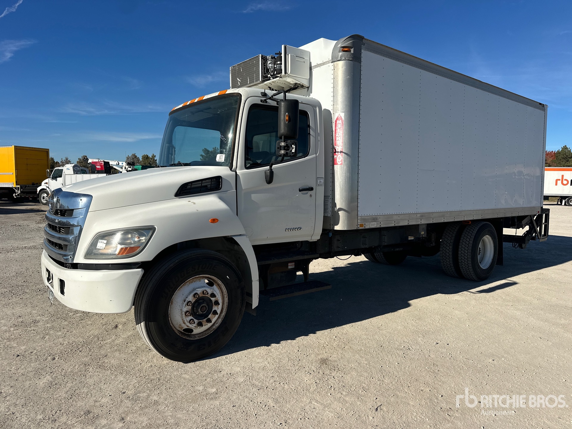 General Appearance with Spin