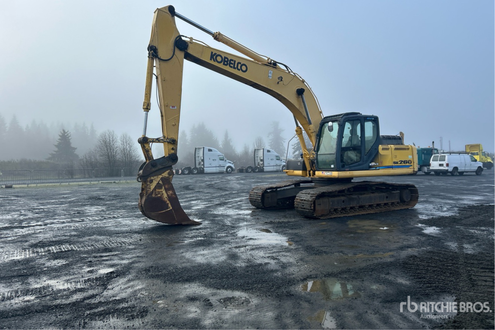 General Appearance with Spin