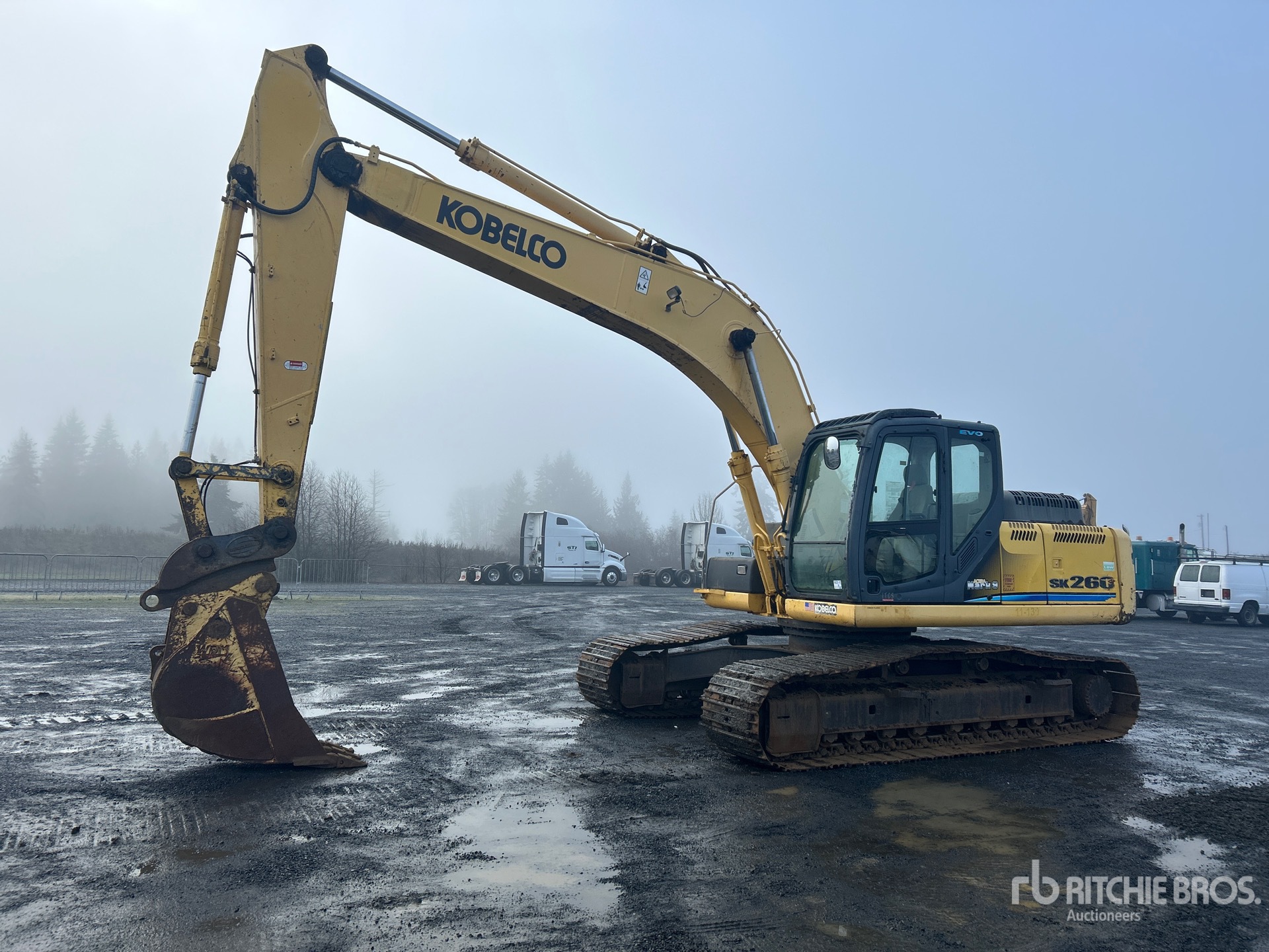 General Appearance with Spin