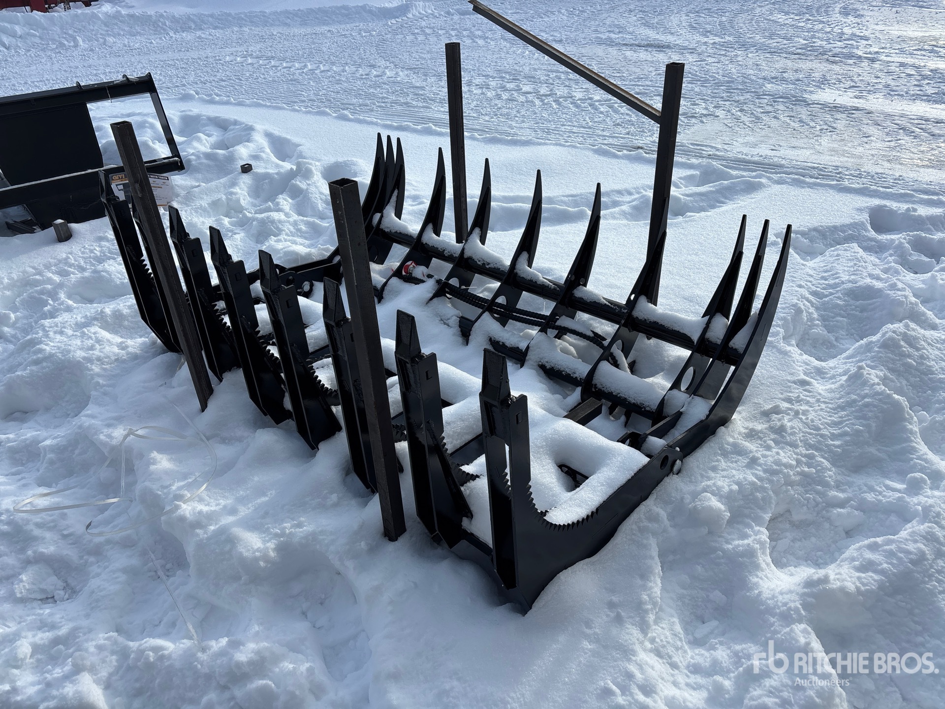 General Appearance with Foto, angolo anteriore sinistro