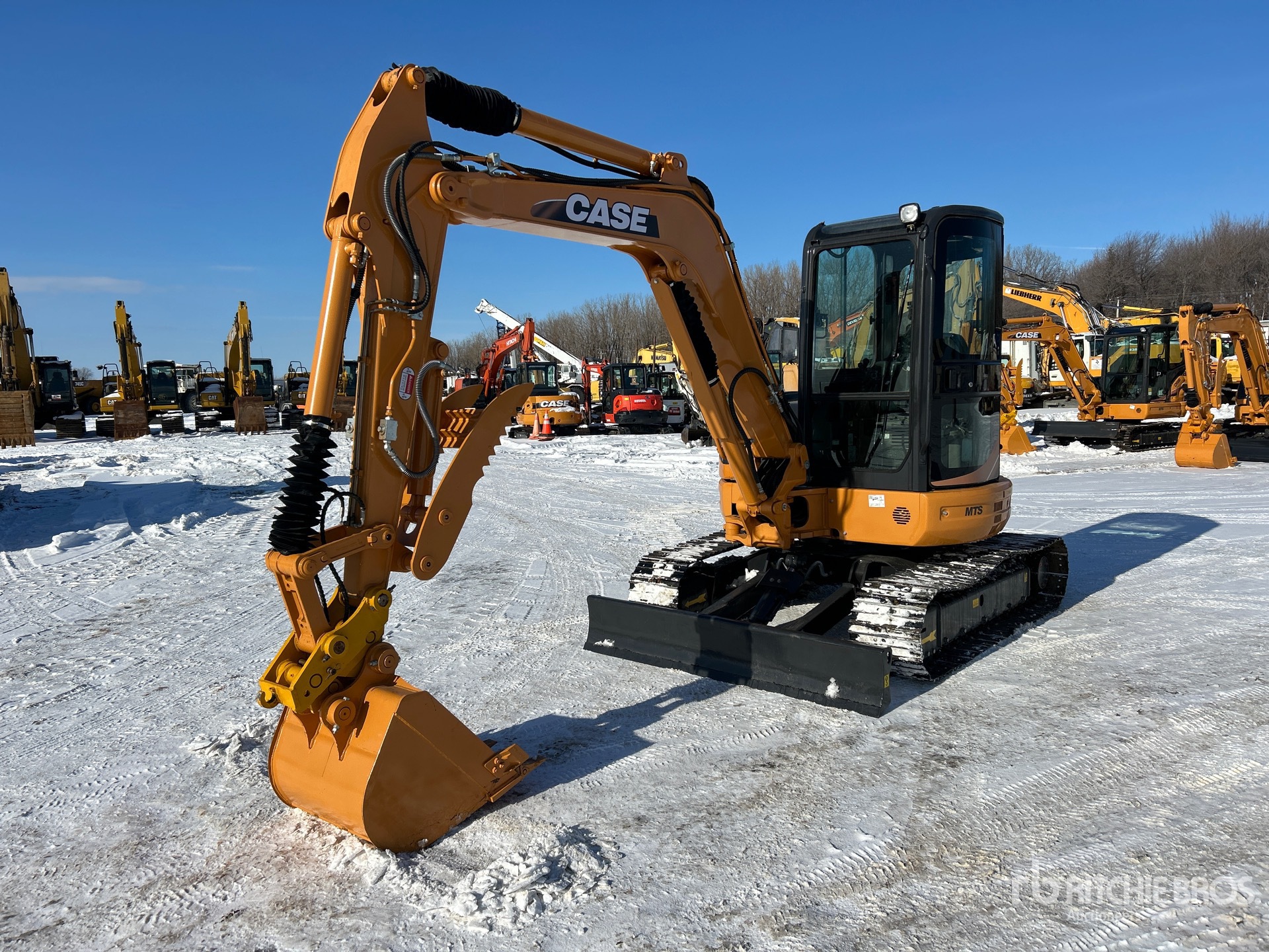 General Appearance with Spin