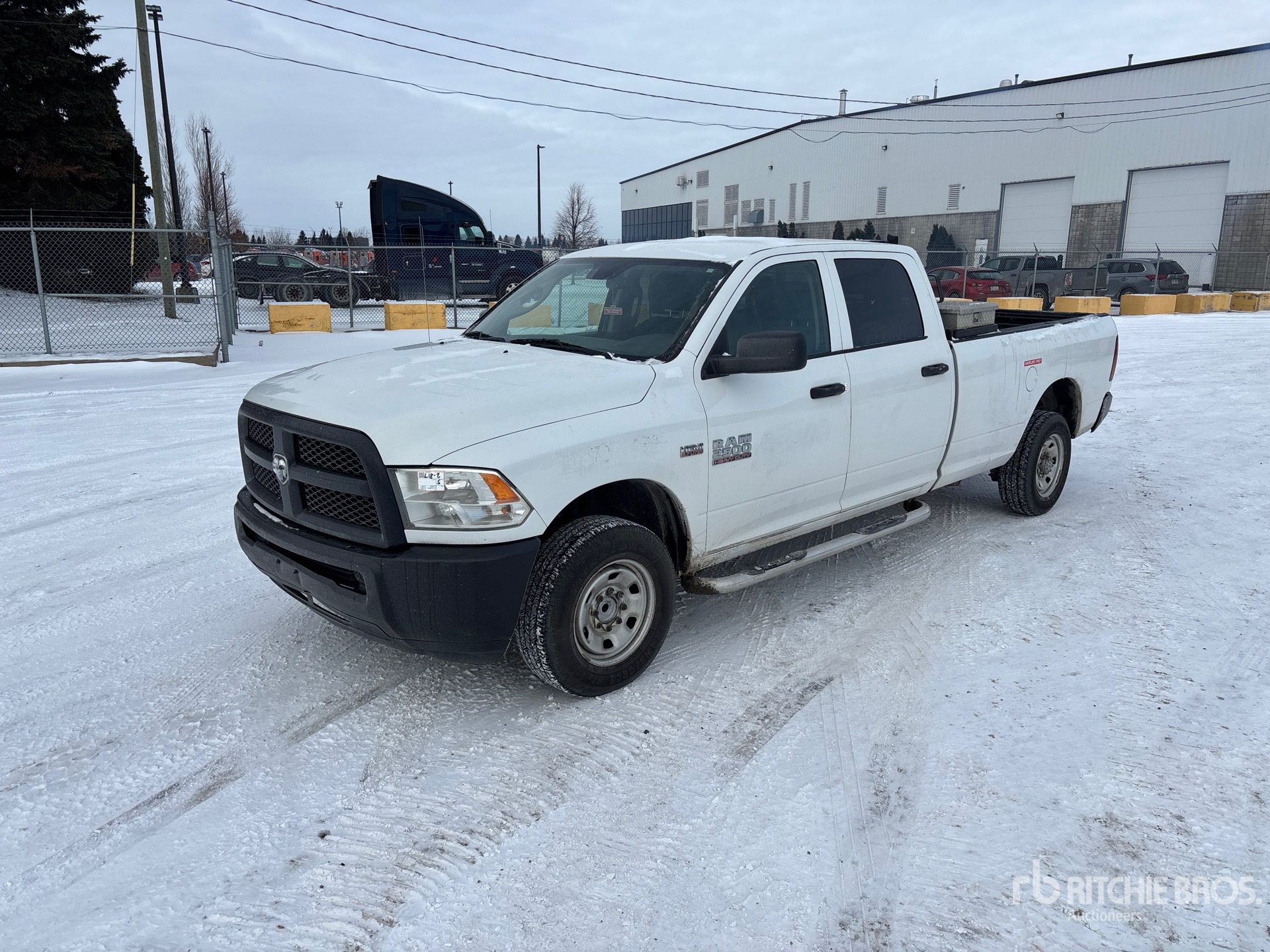 General Appearance with Spin