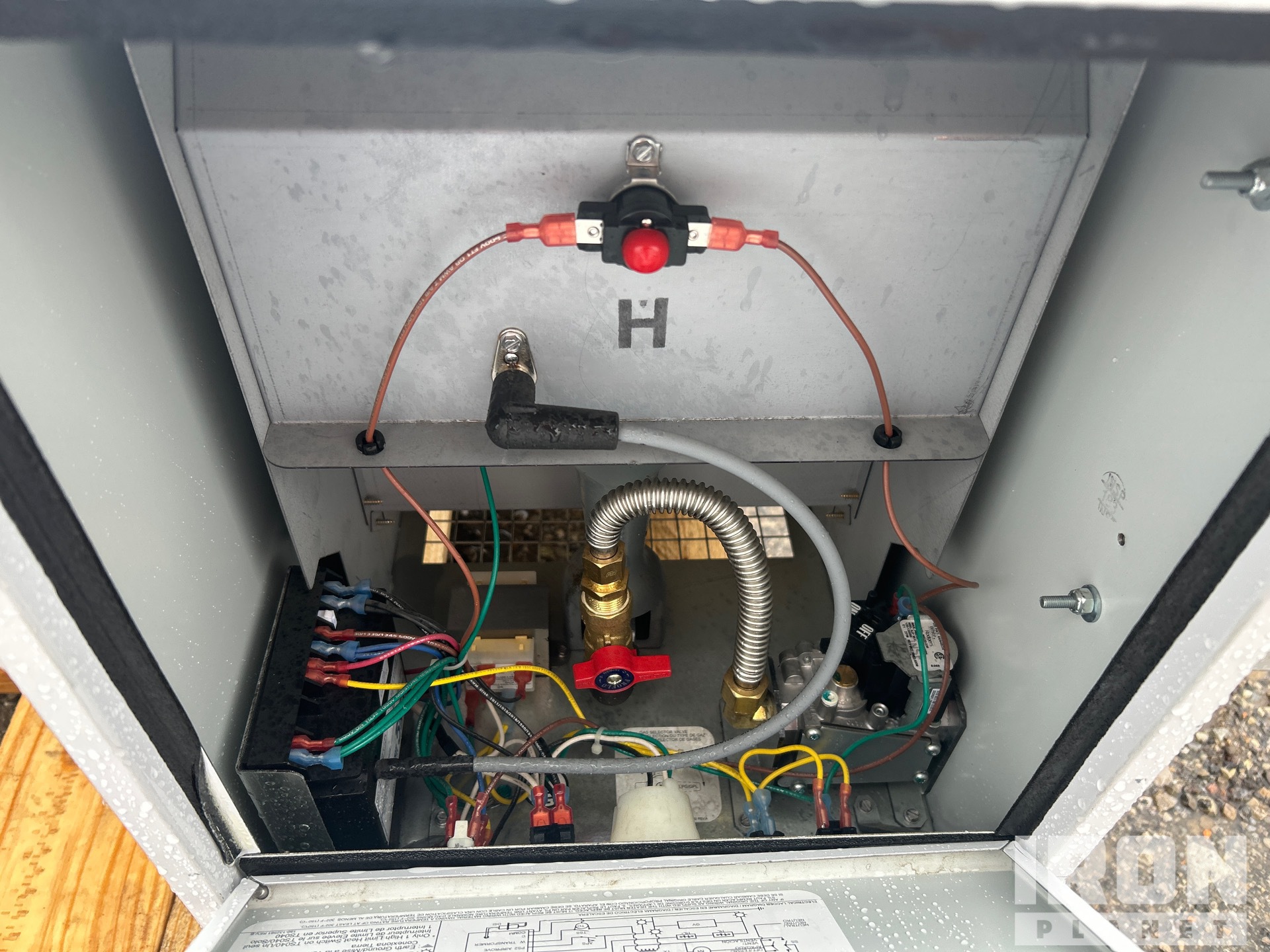 General Appearance with 