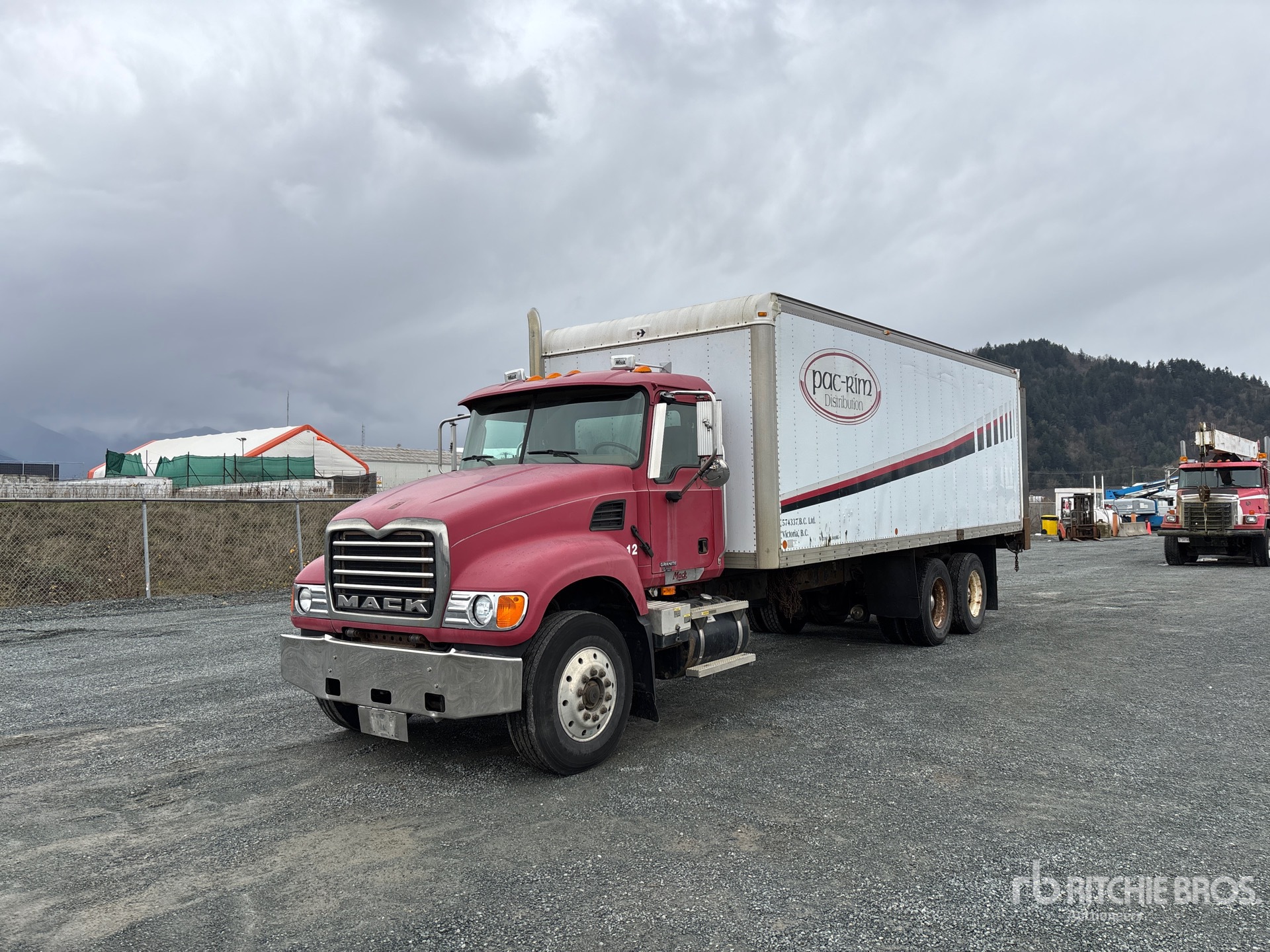 General Appearance with Spin