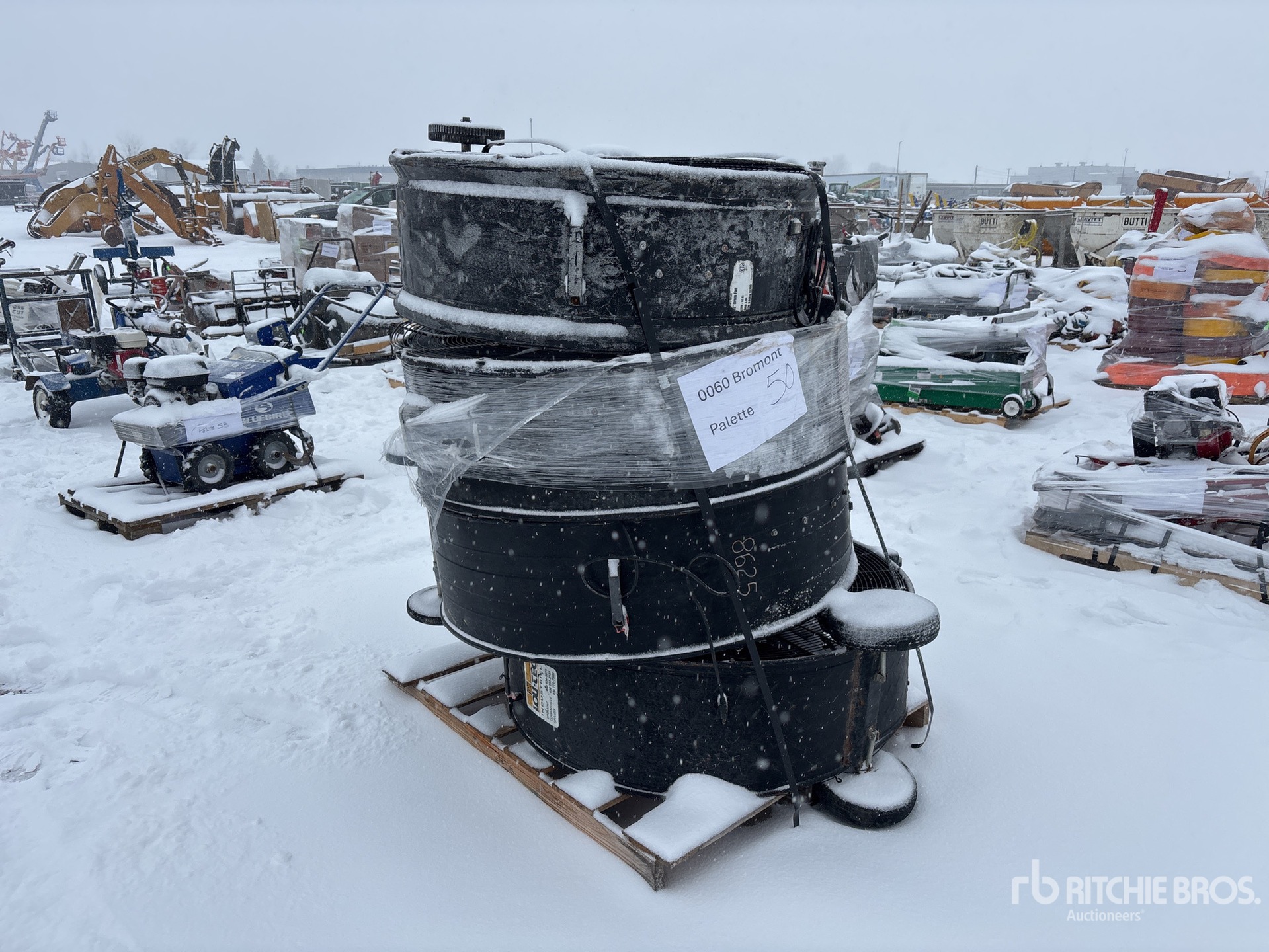 General Appearance with Bild, Ecke hinten links