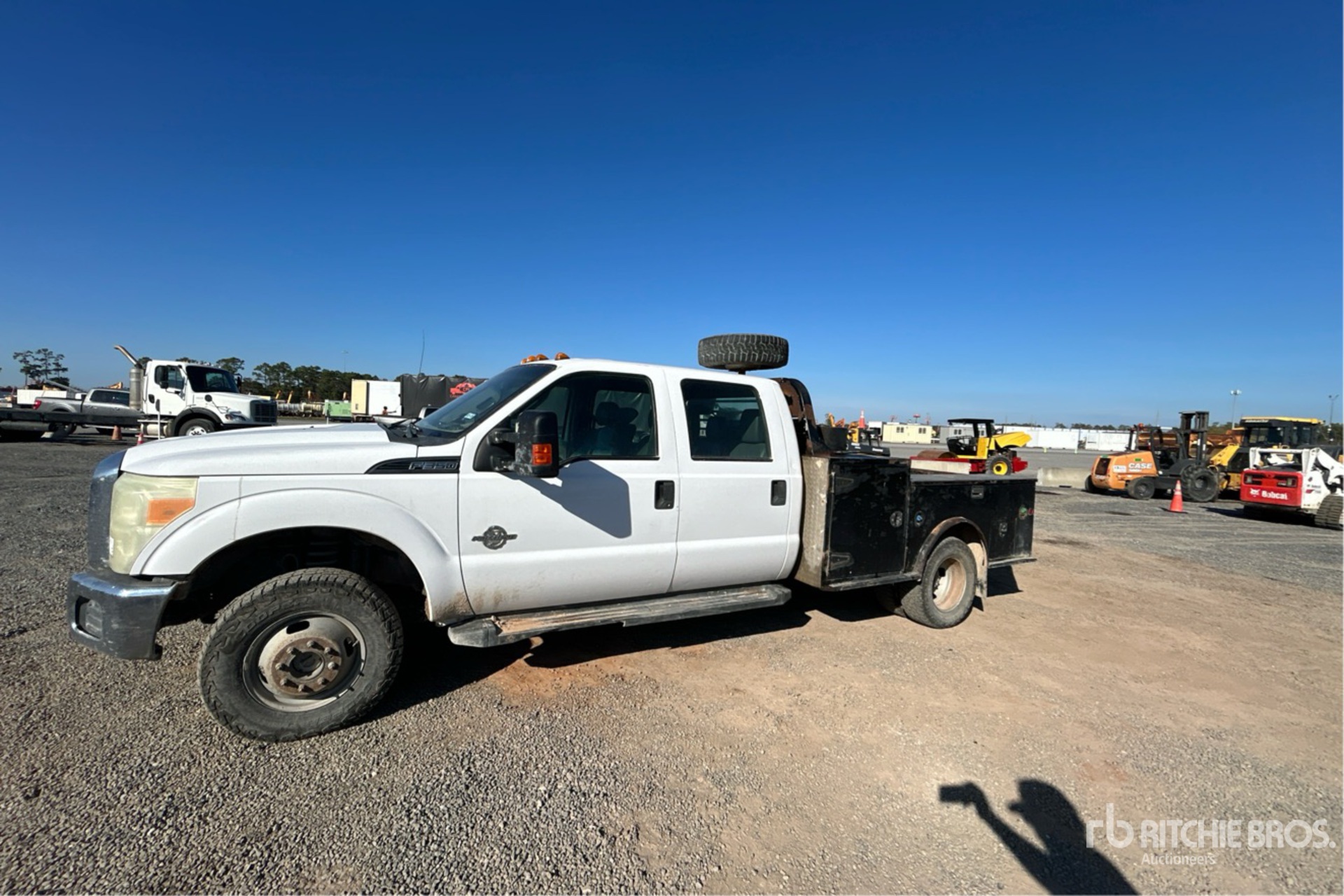 General Appearance with Spin