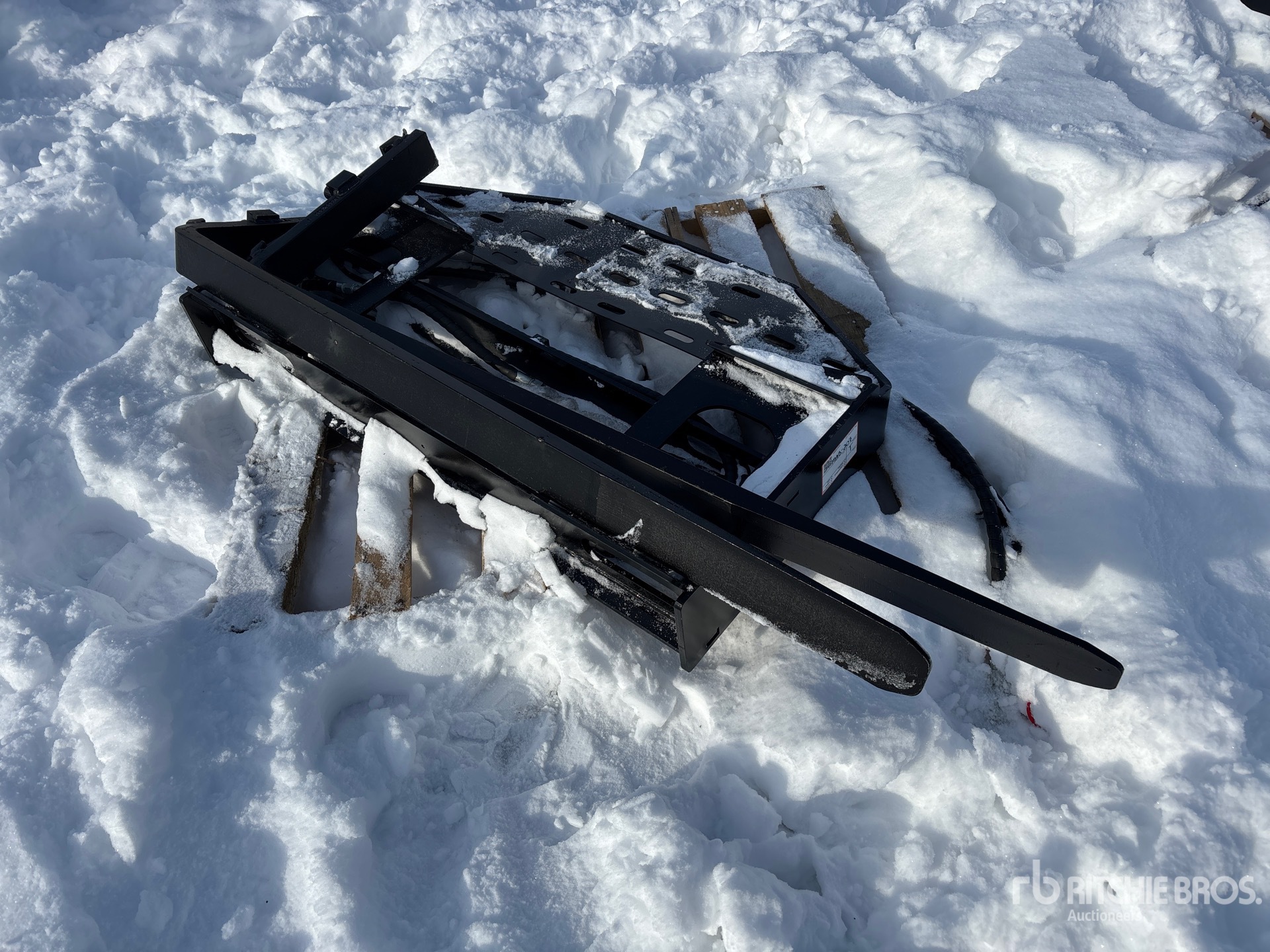 General Appearance with Foto, angolo anteriore sinistro